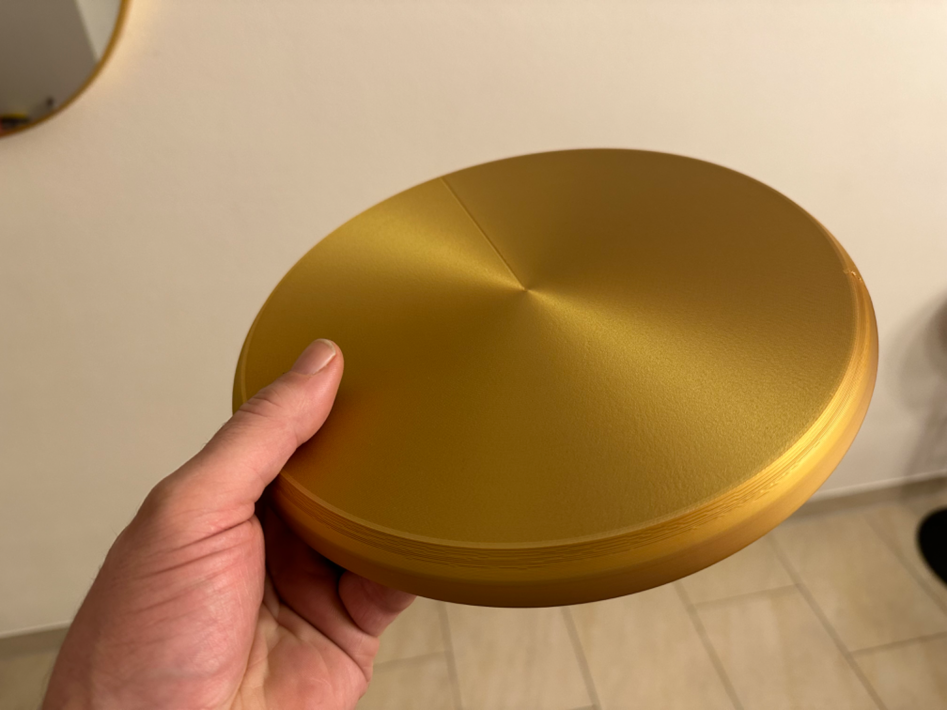 Frisbee Disc