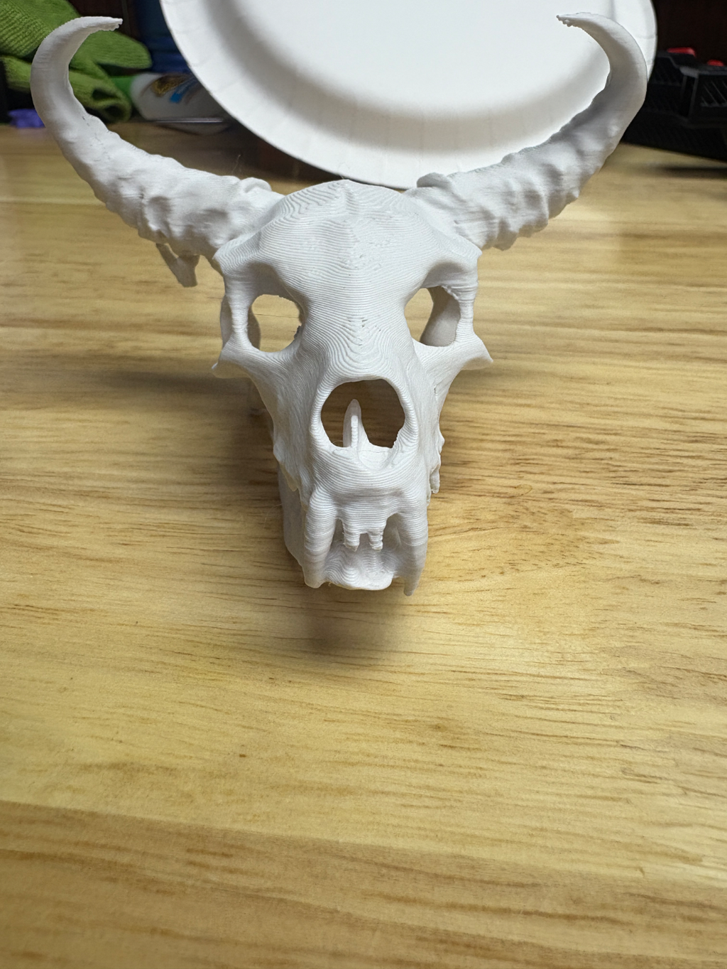 Animal skull with fang and horns
