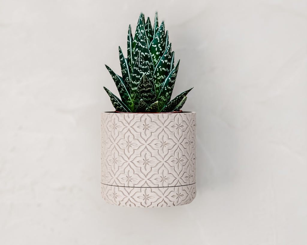 Wall Mounted Plant Pot with Removable Drip Tray