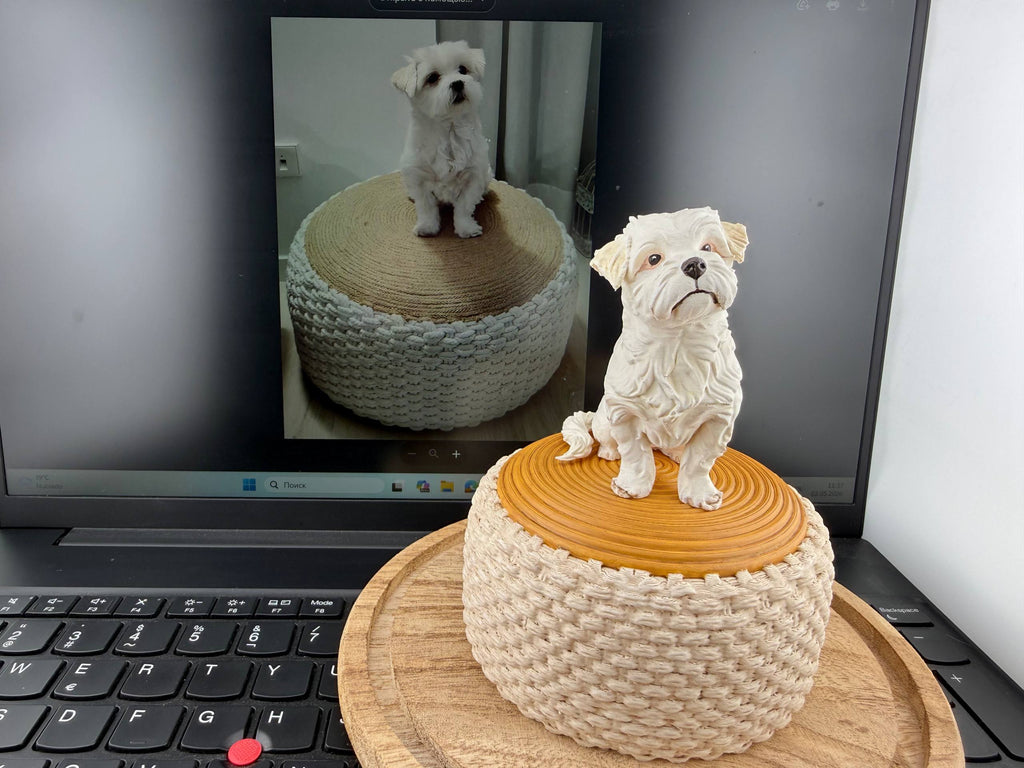 Maltese dog on the puff