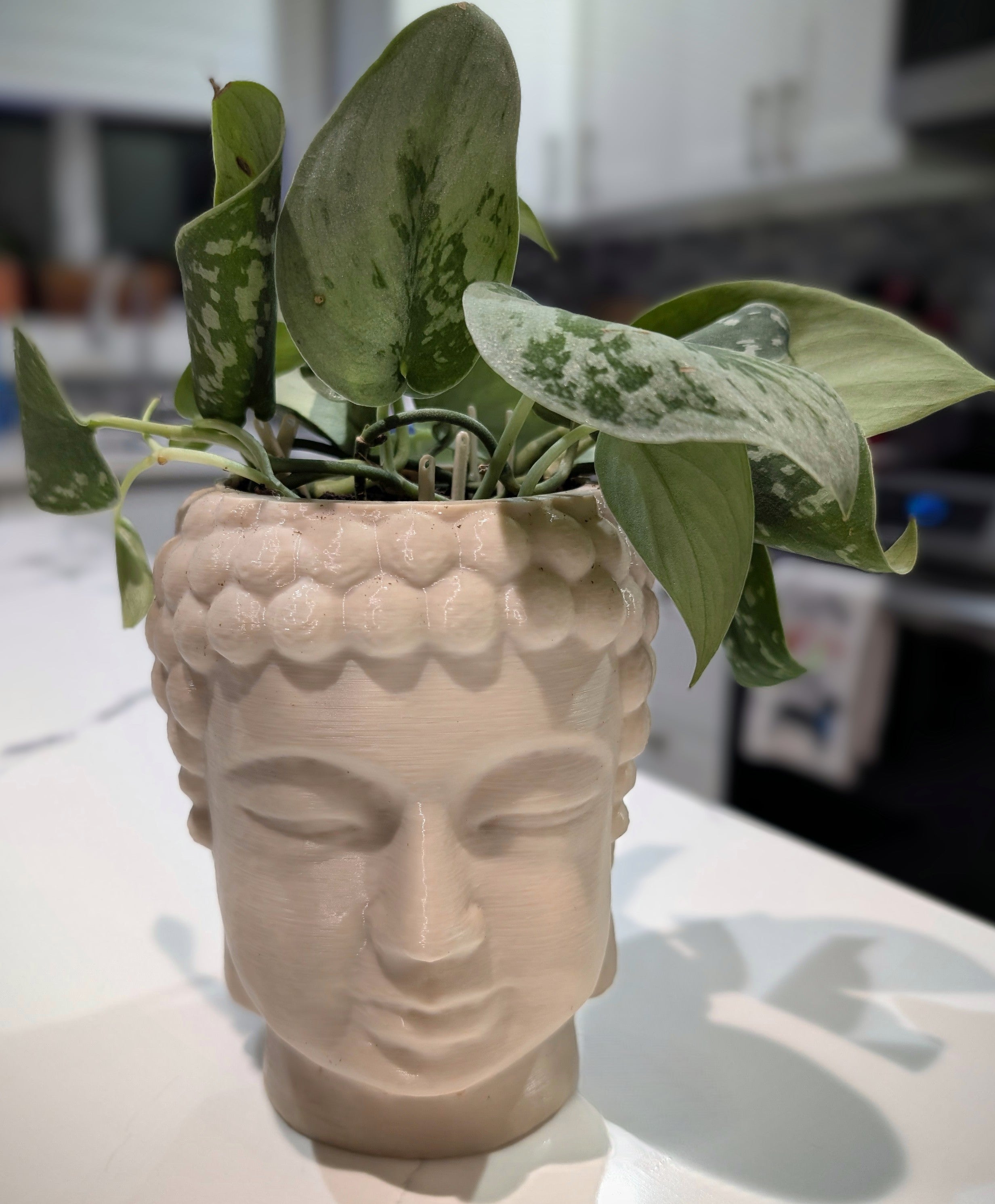 Plant Pin Pro