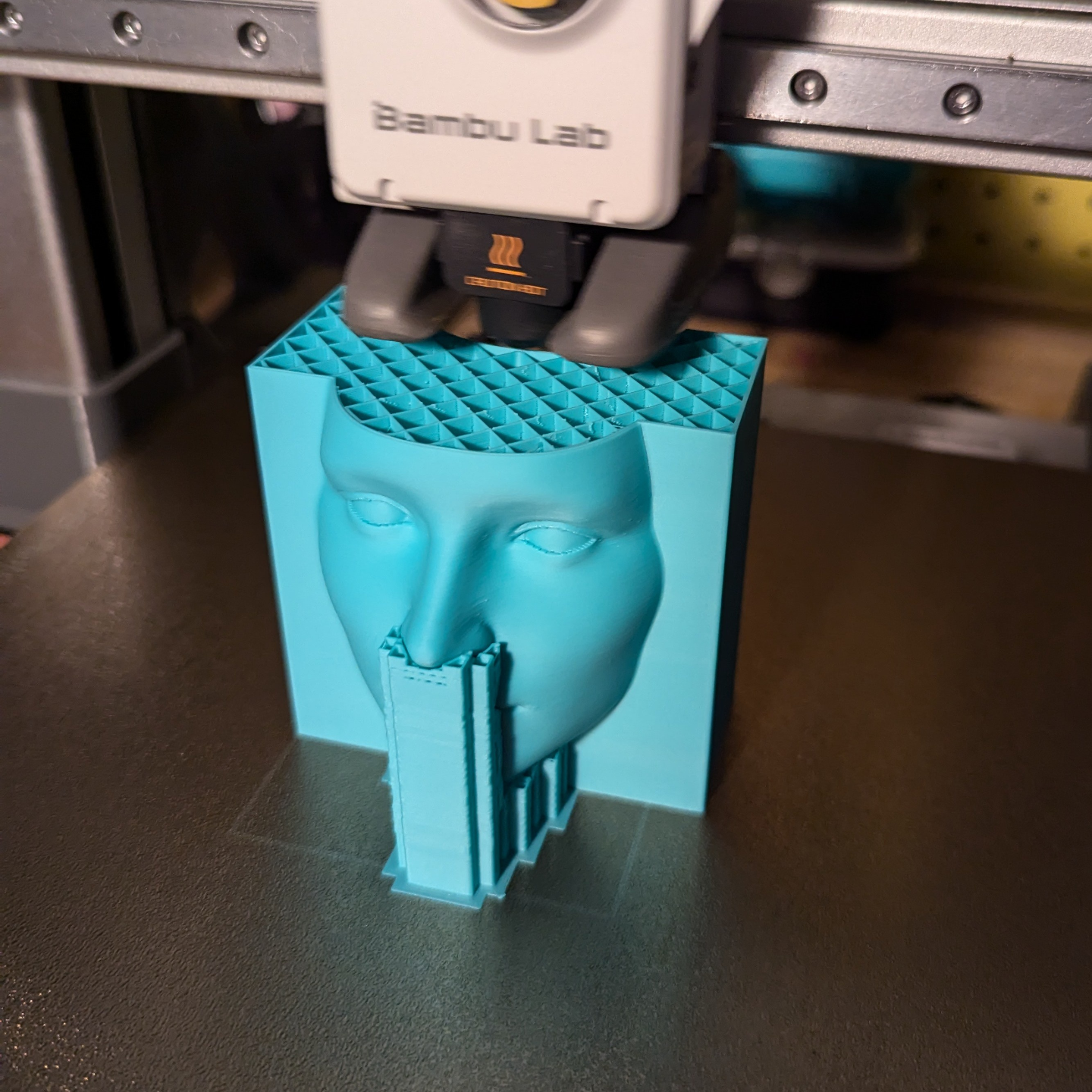 Hollow Mask Illusion