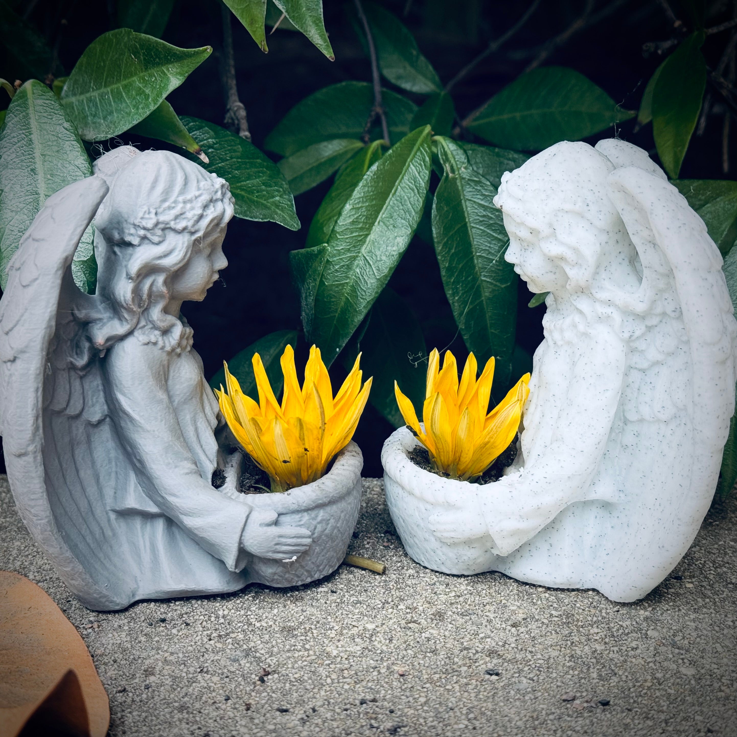 Angel Holding A Basket