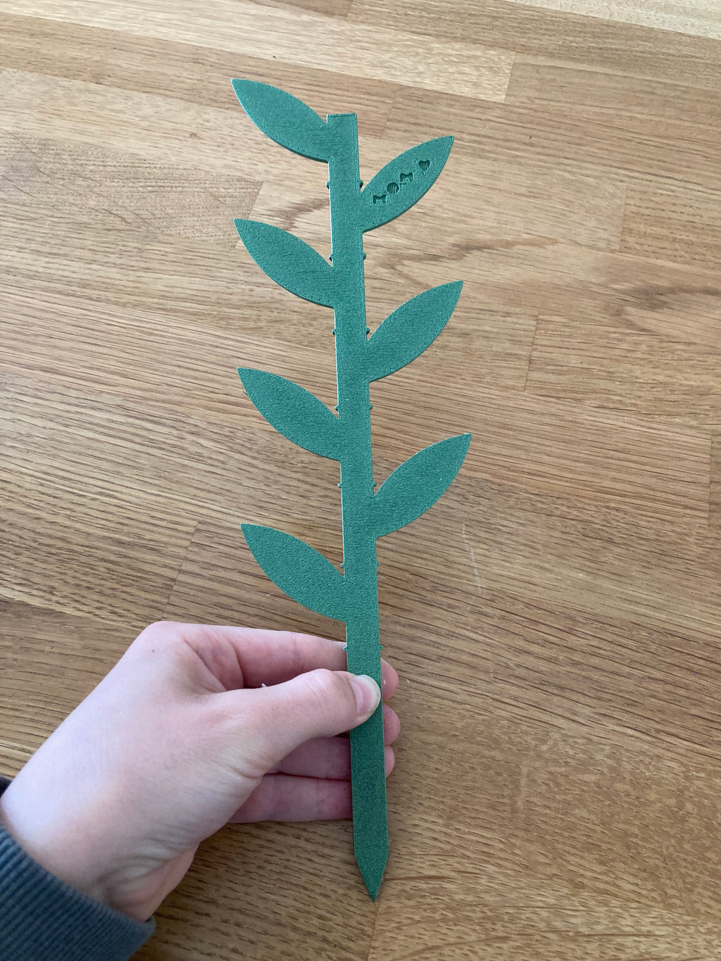 plant support