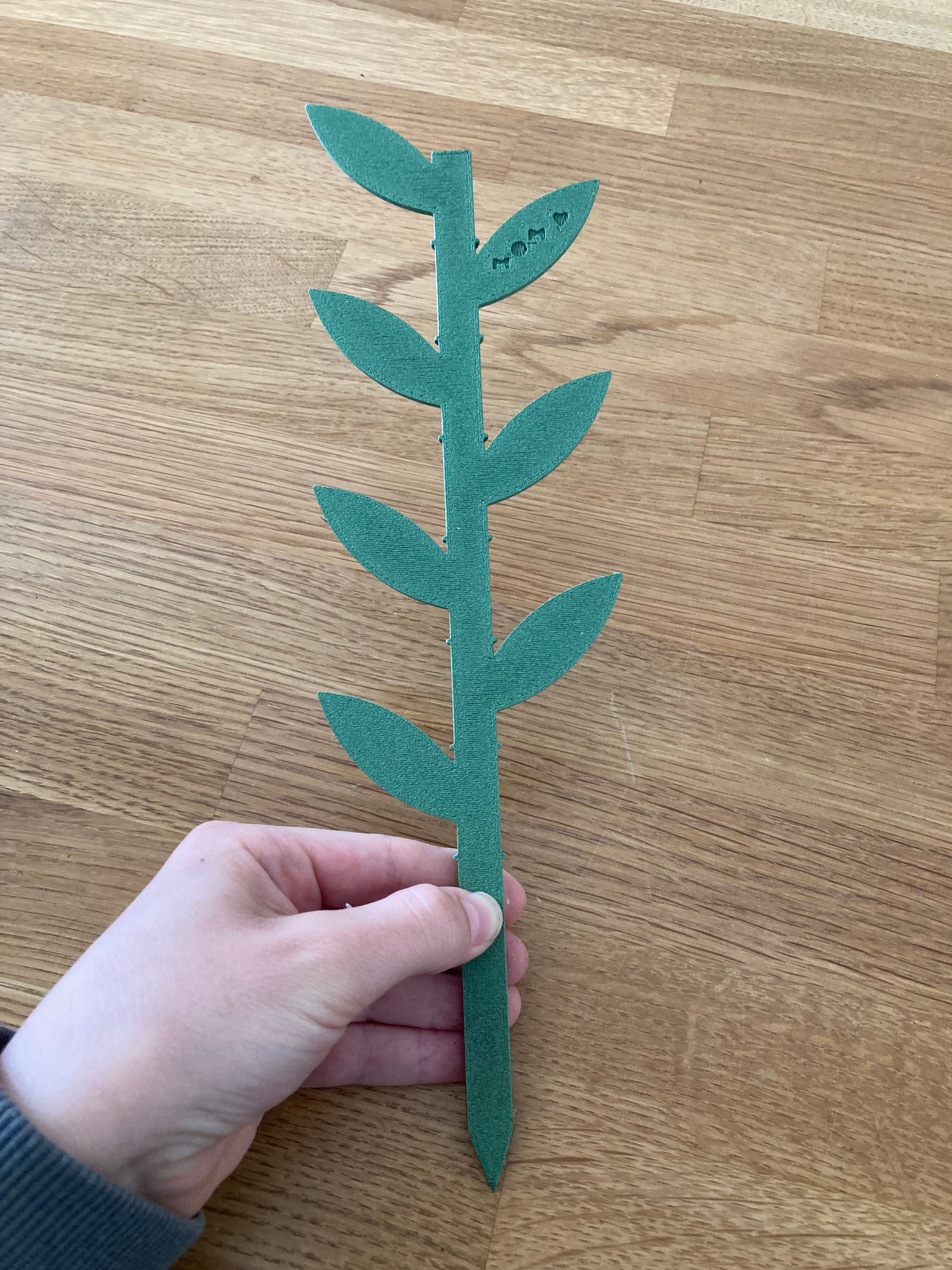 plant support