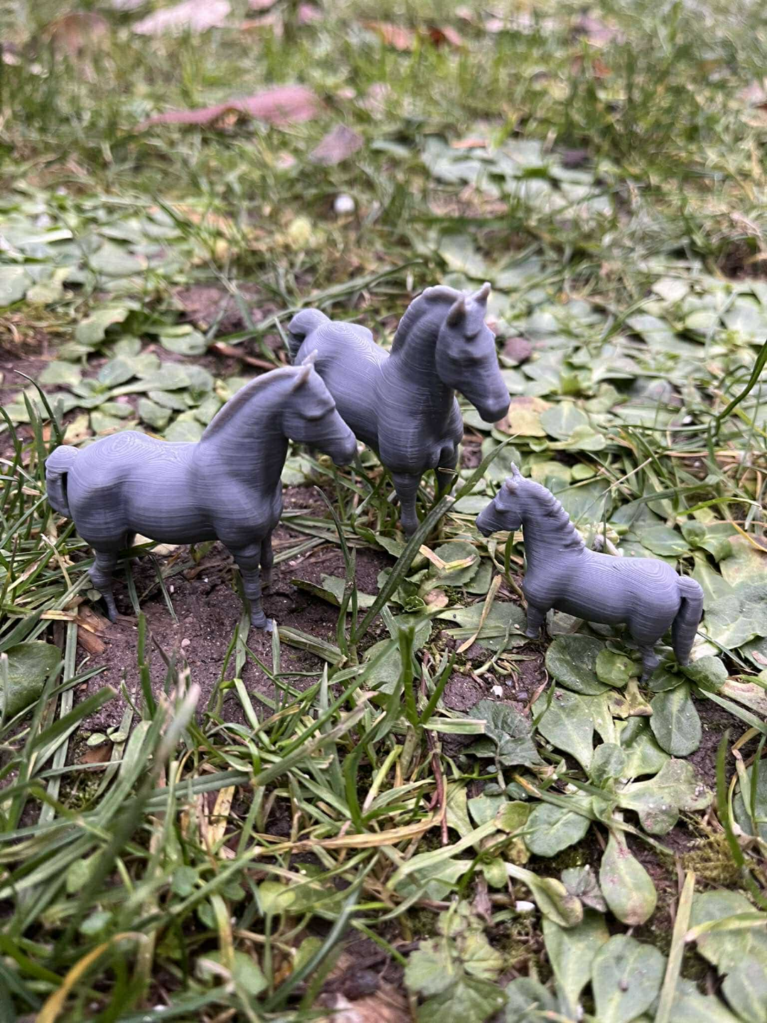 Horse family on the farm