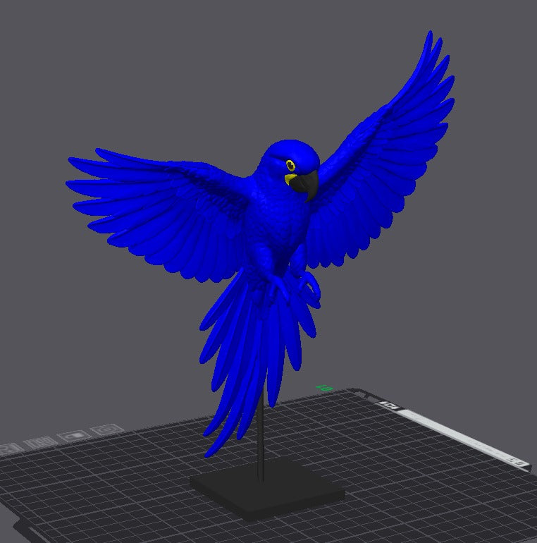Arara azul em uma base asas abertas