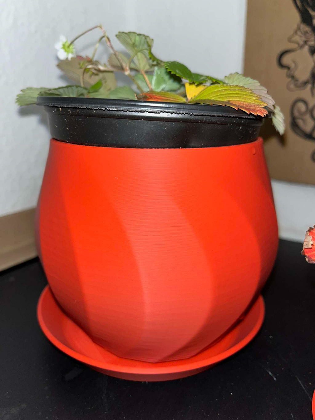 A flower pot with a tray for bouquets, bonsai