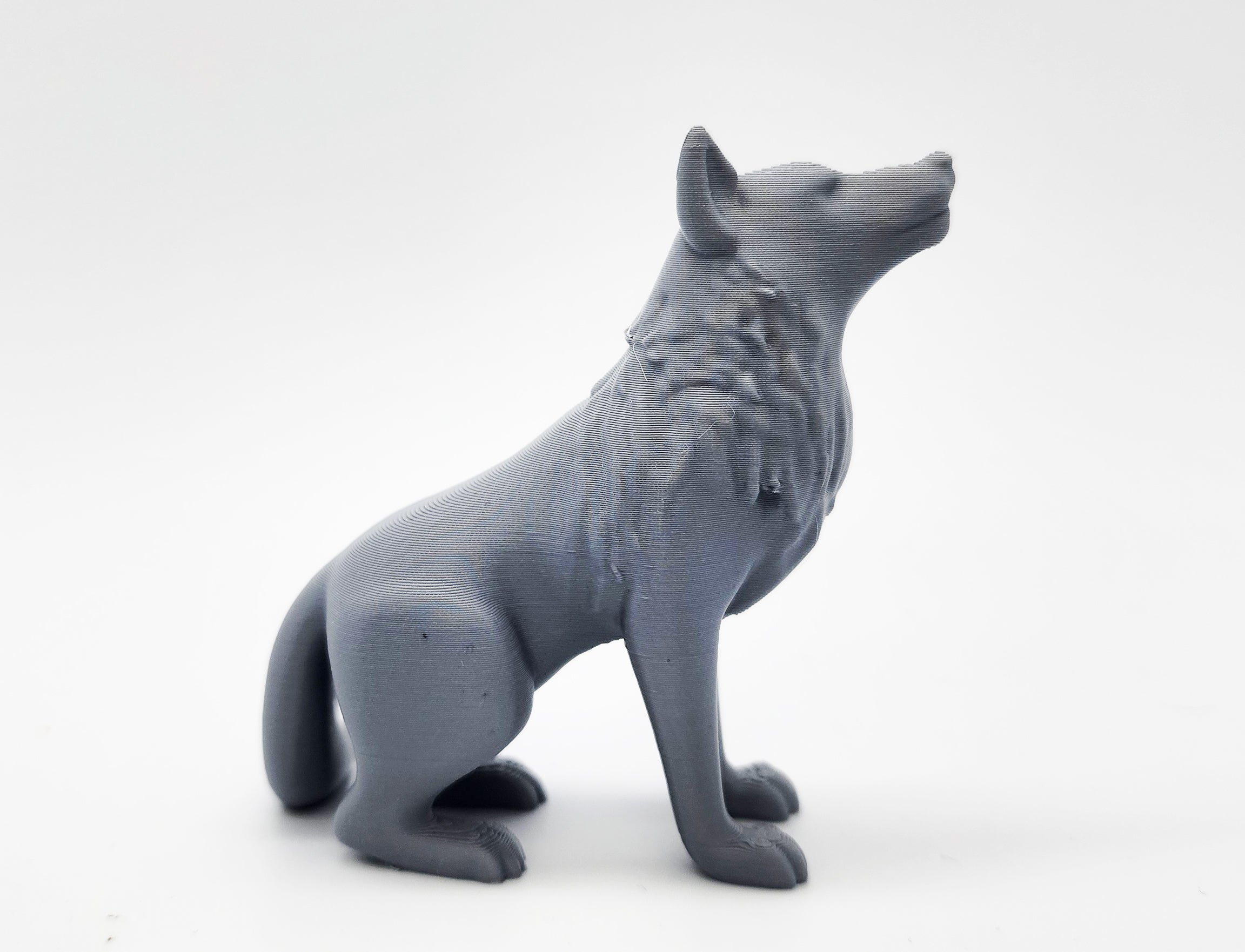 Seated Wolf