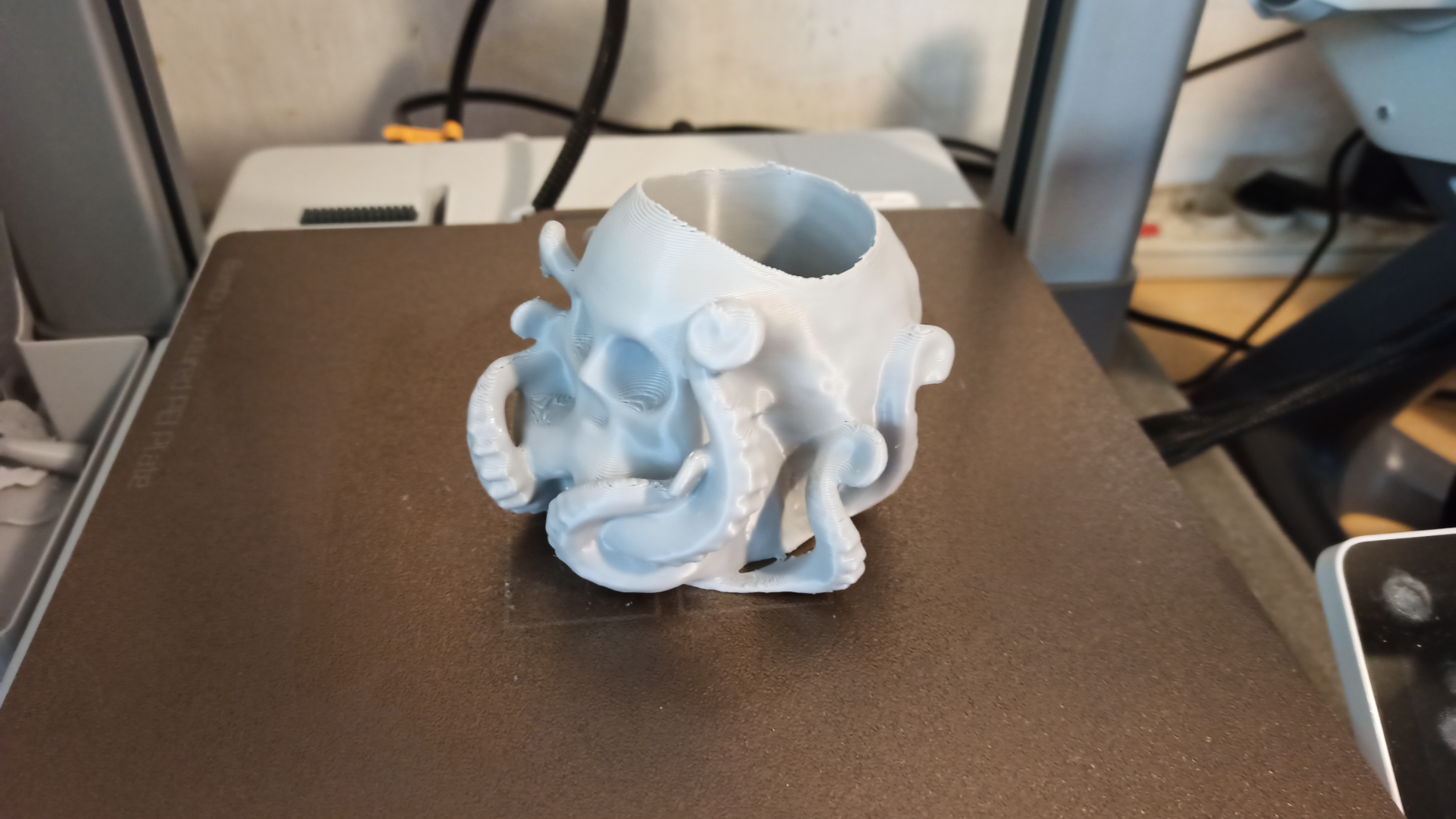 Octo Skull Mini Succulent Planter