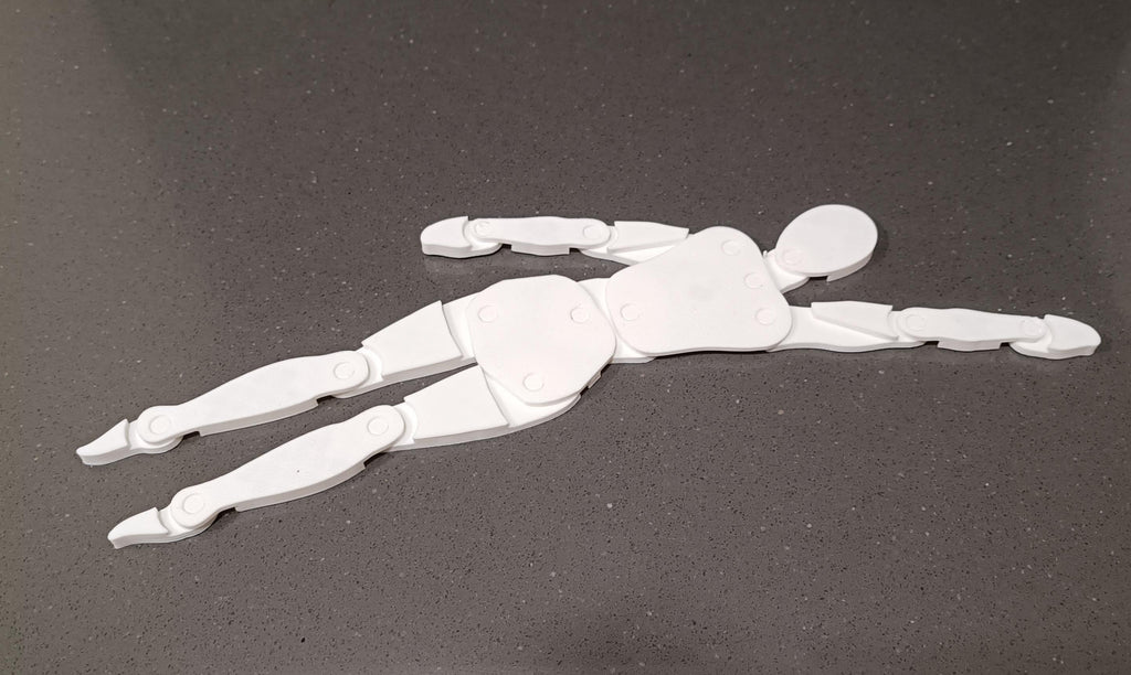 Maniquí articulado de cuerpo humano