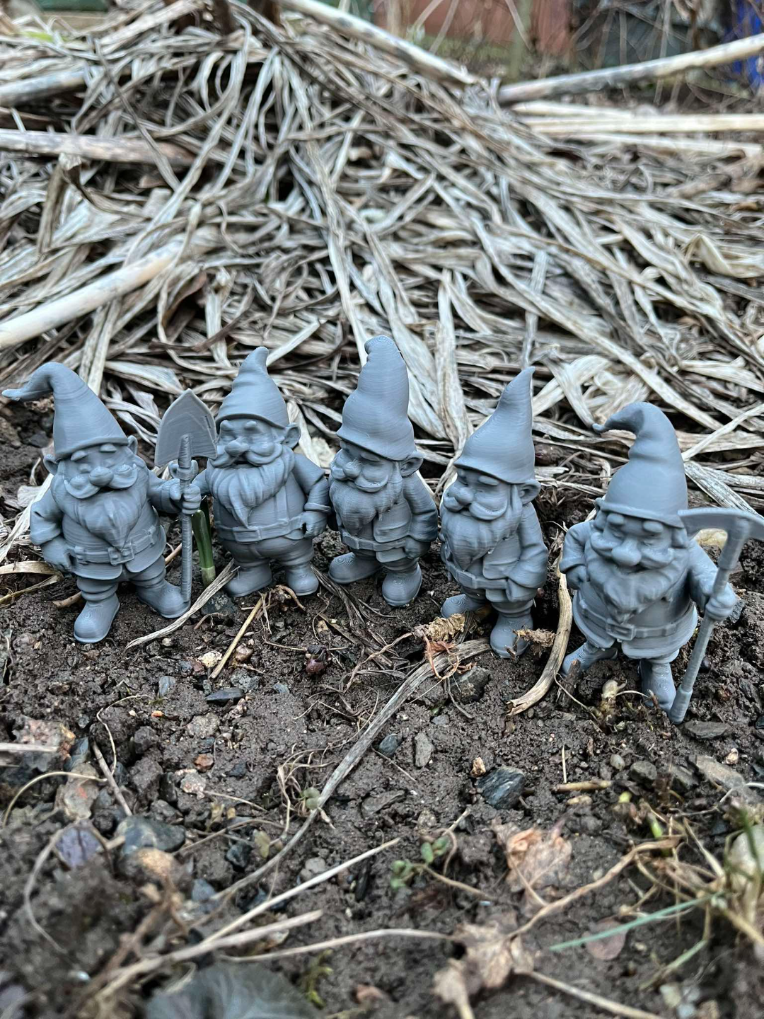 Hardworking dwarfs, gnomes for the garden
