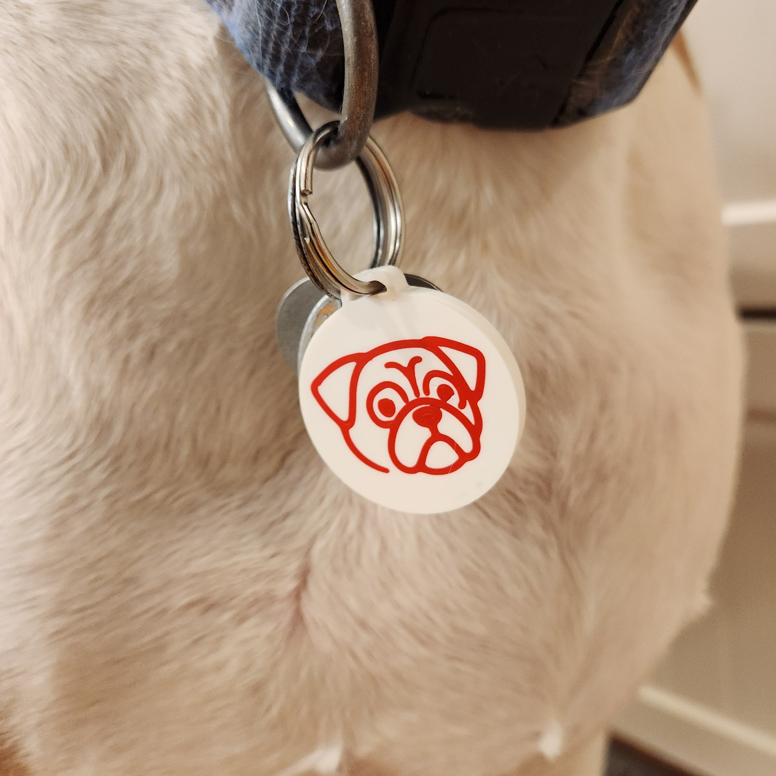 NFC Dog Tag 5 Dog Set for Commercial Use