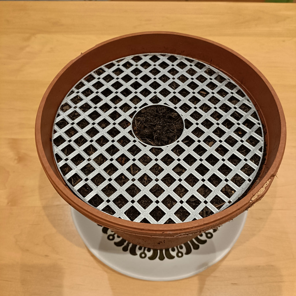 Pet-resistant Plant Protector