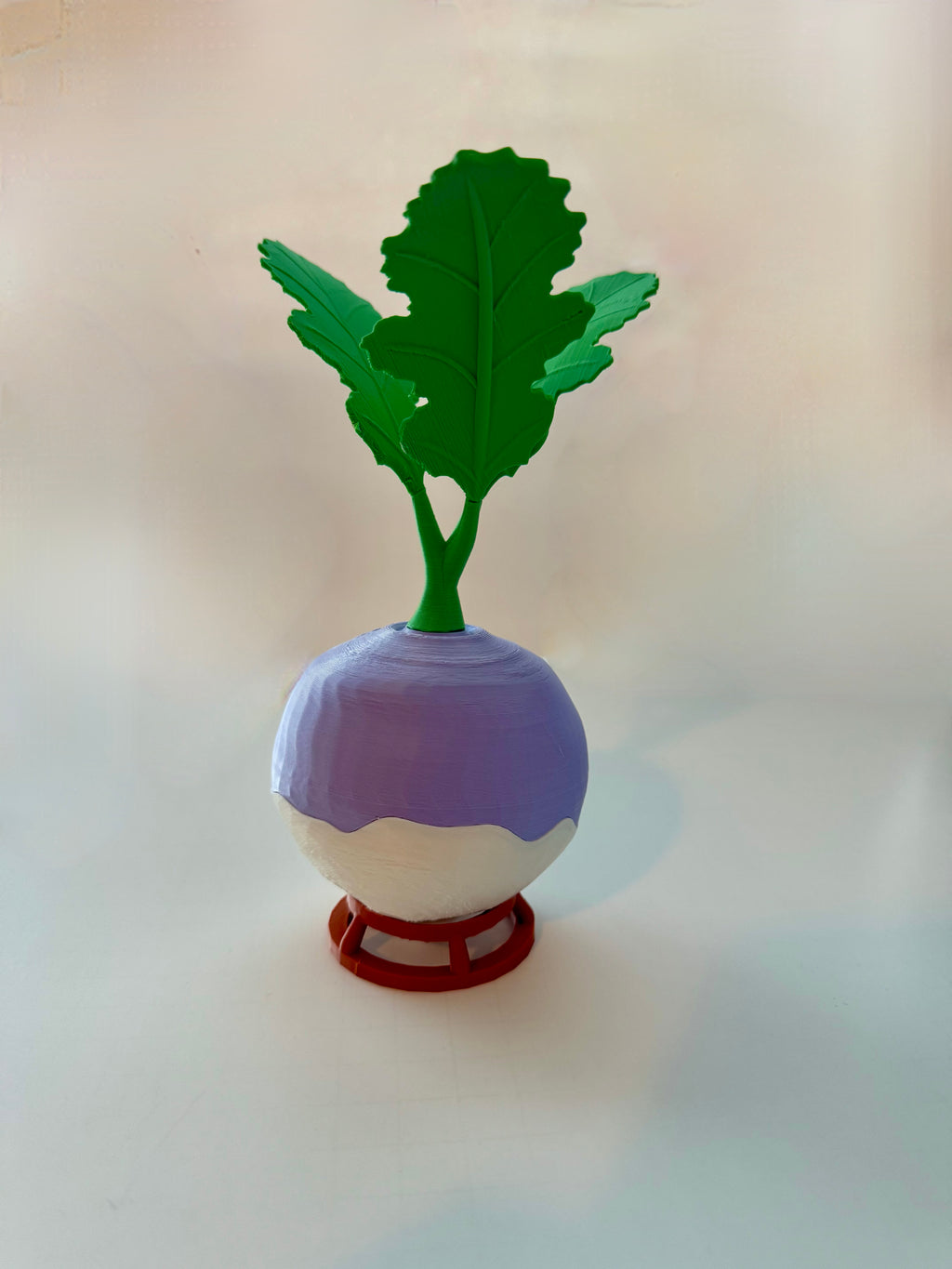 Jack-O’-Turnip
