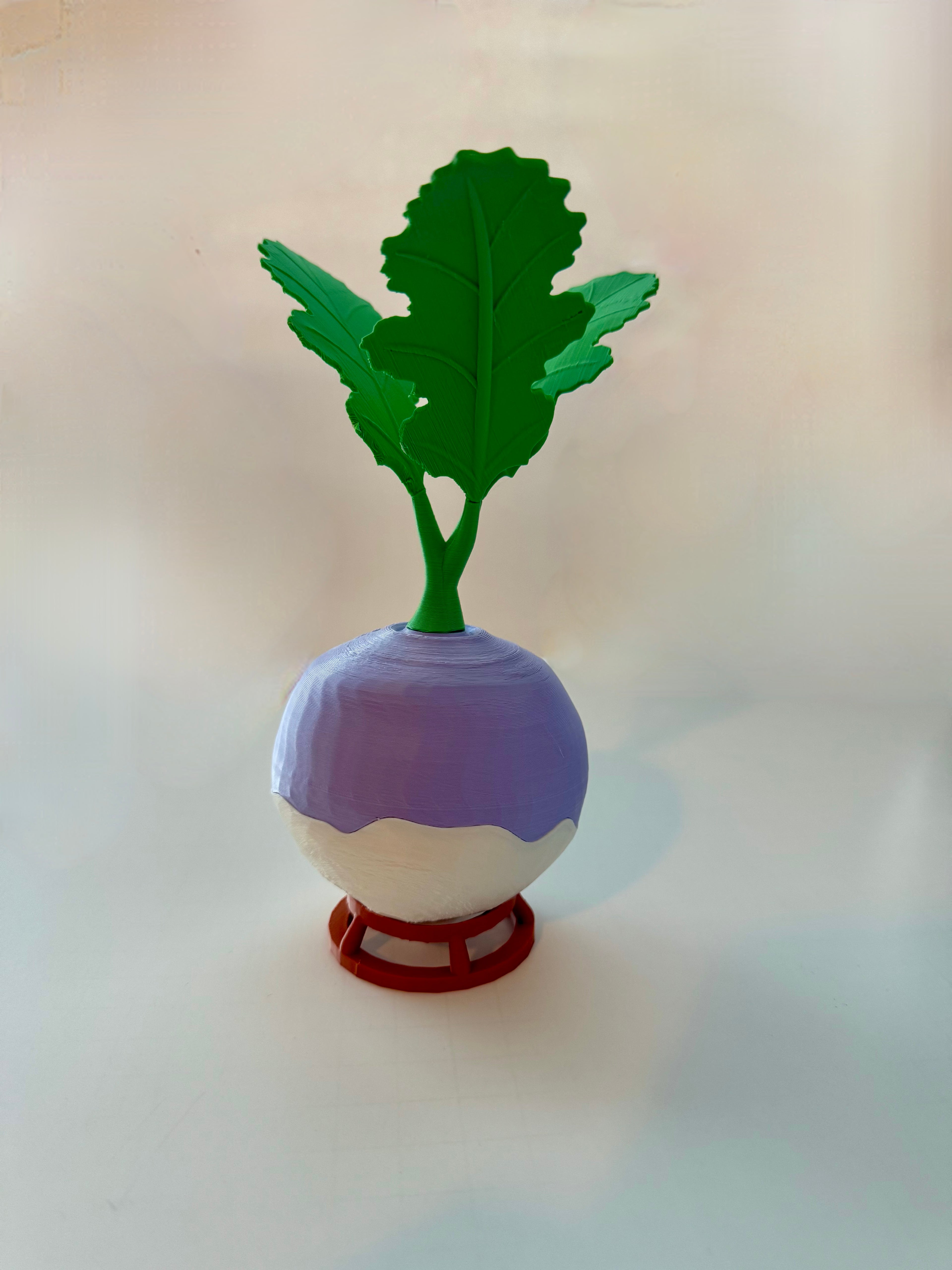 Jack-O’-Turnip