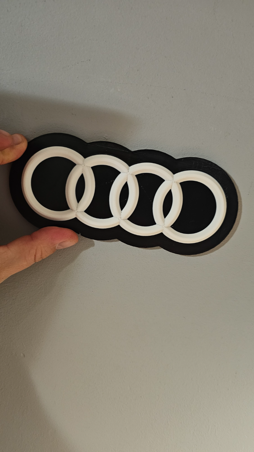 Audi key holder no ams