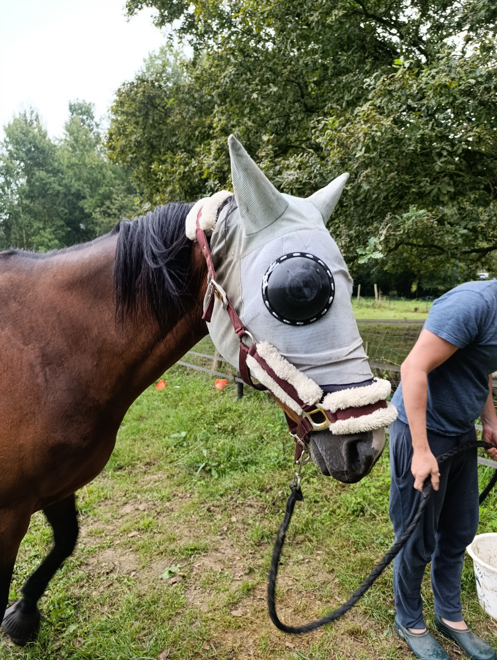 protection oculaire pour masque pour chevaux