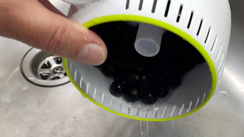 Vortex Fruit Washer (Size S)