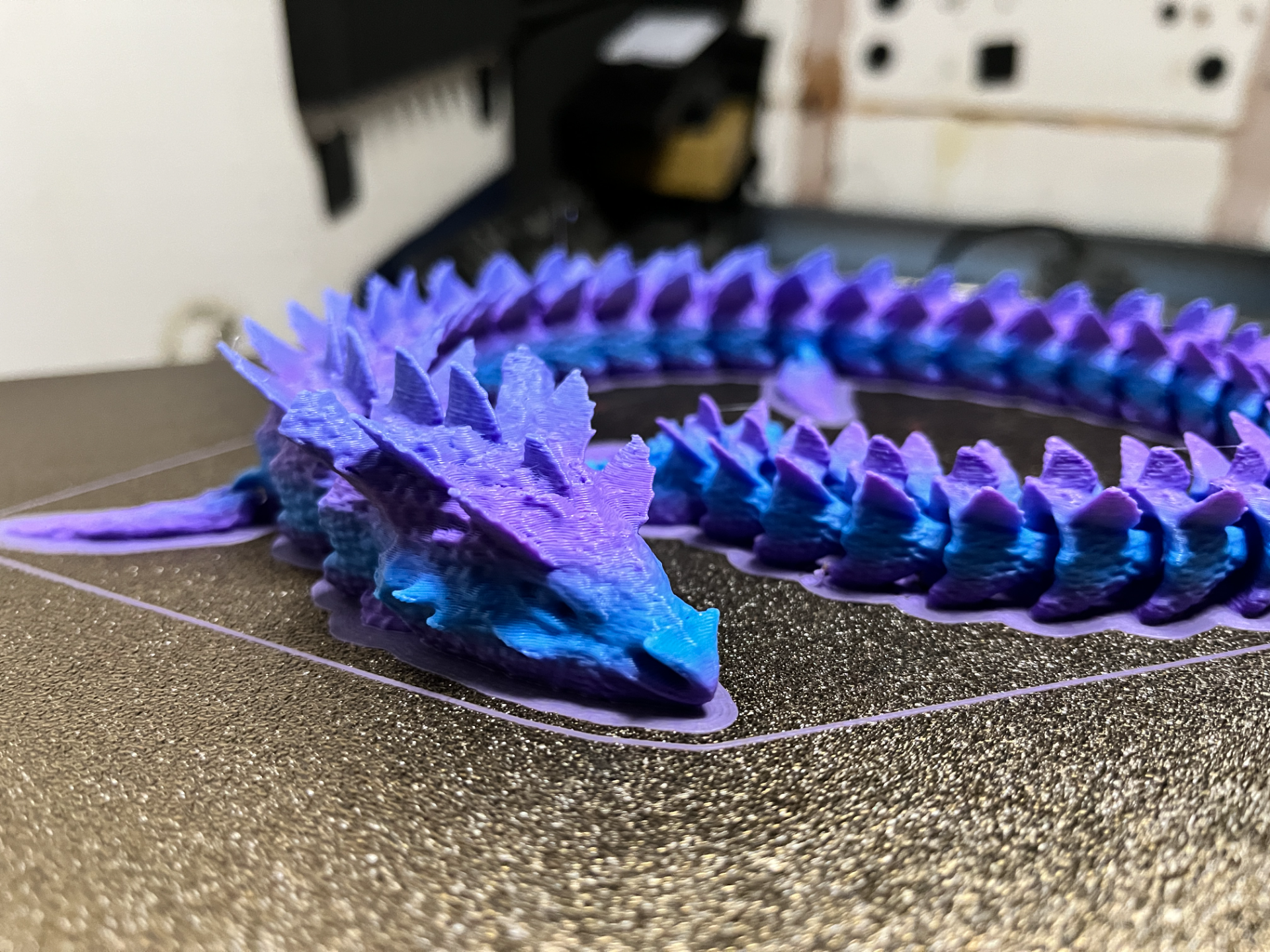 AQUATIC DRAGON