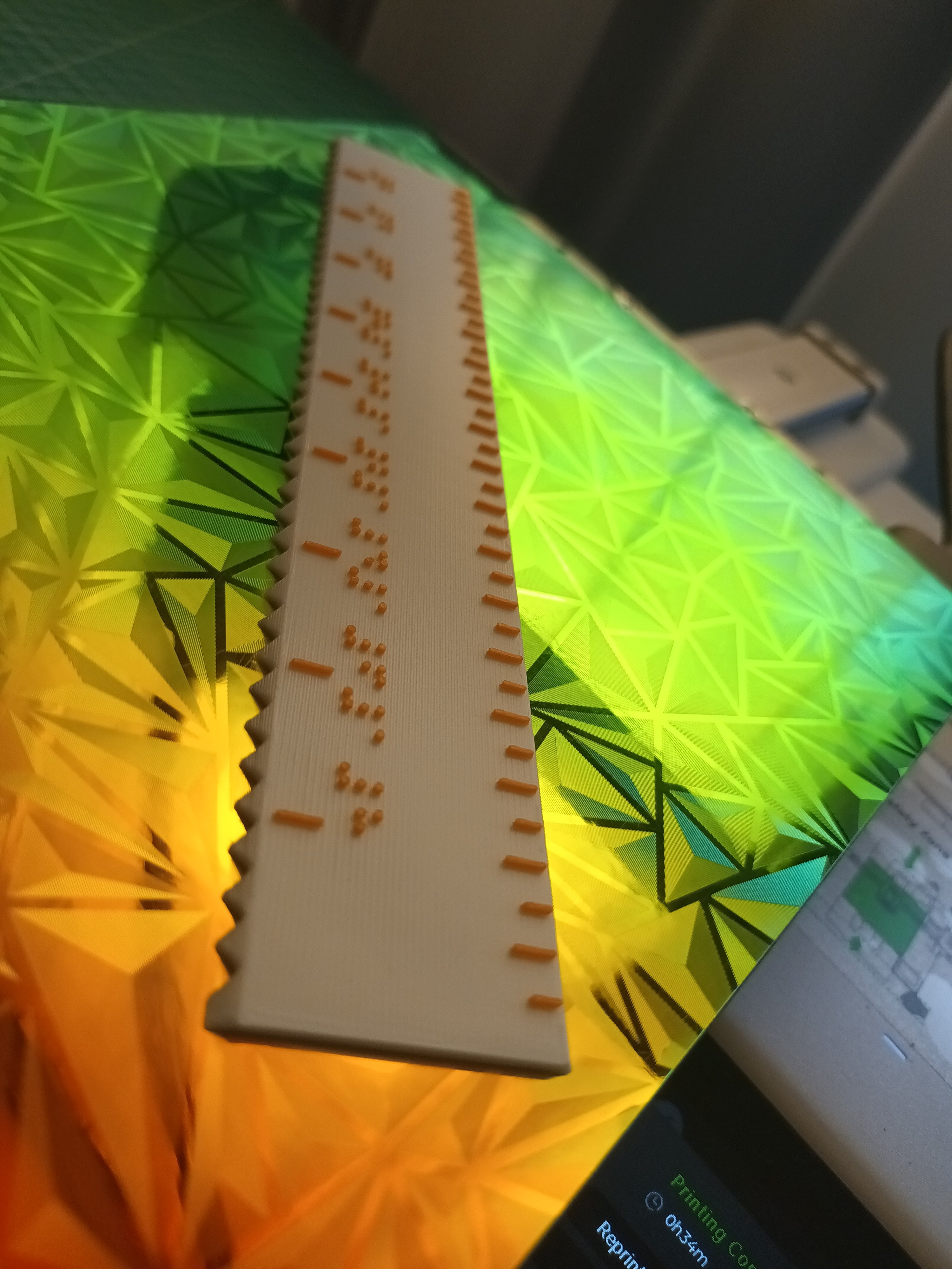 Braille Ruler 20cm | Linijka Braille'a 20cm (Accu)