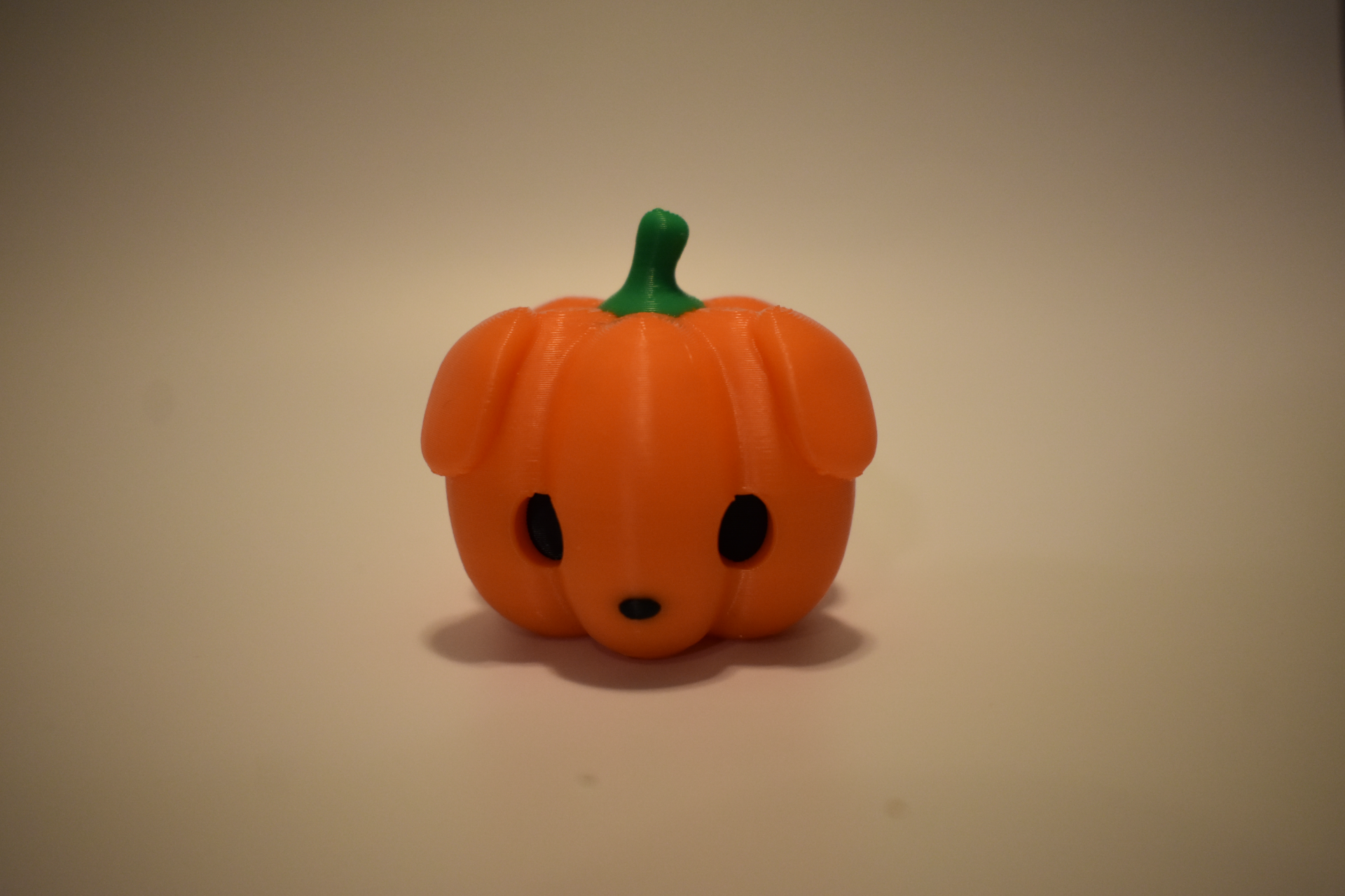 Pumpkitty and Pumpkin Pup! (Cute Pumpkin Cat & Dog)