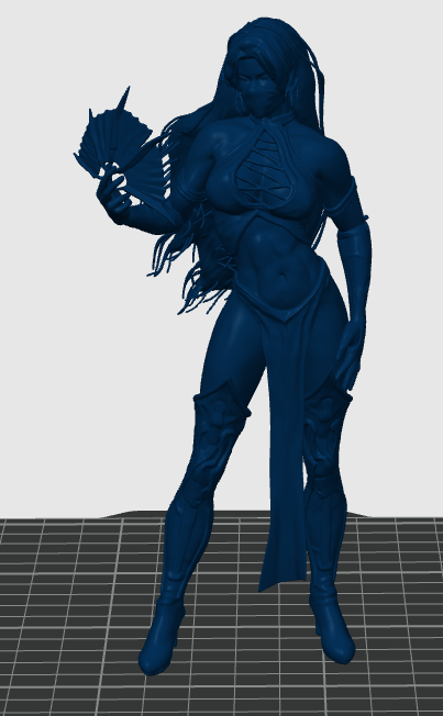 Blue Ninja Lady