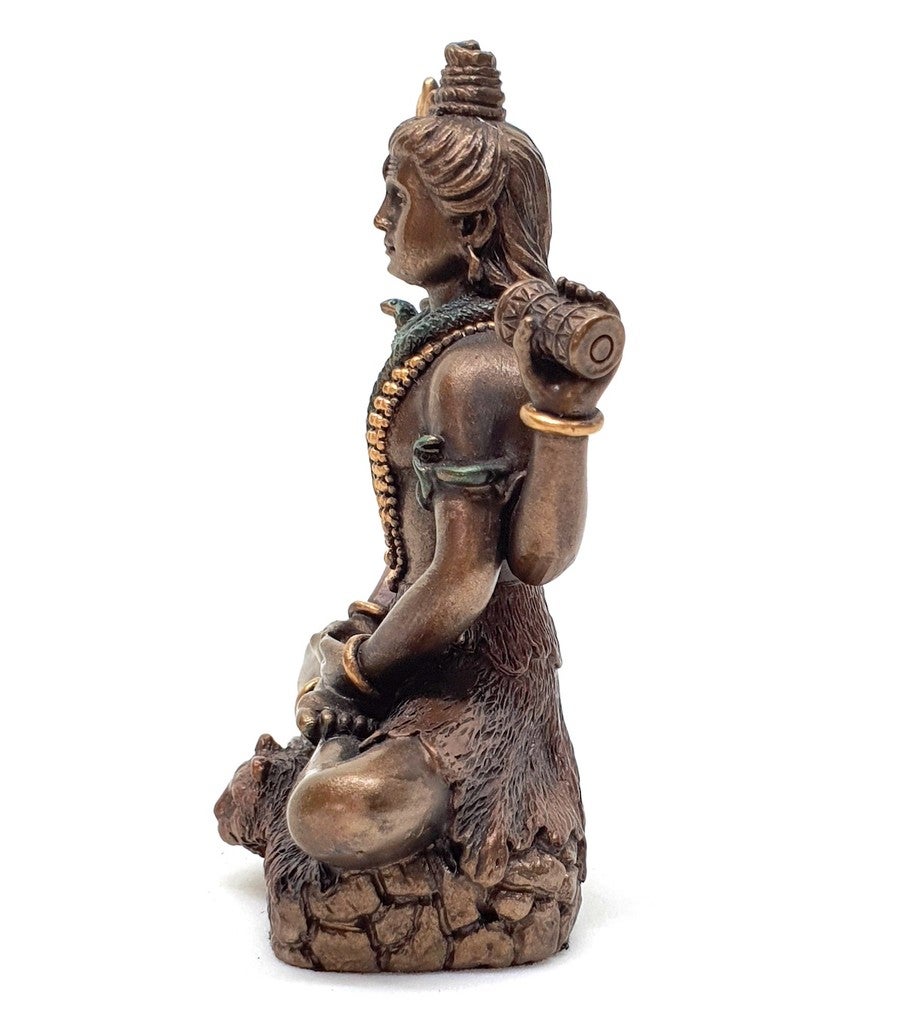 Shiva in Meditation on Tiger Skin