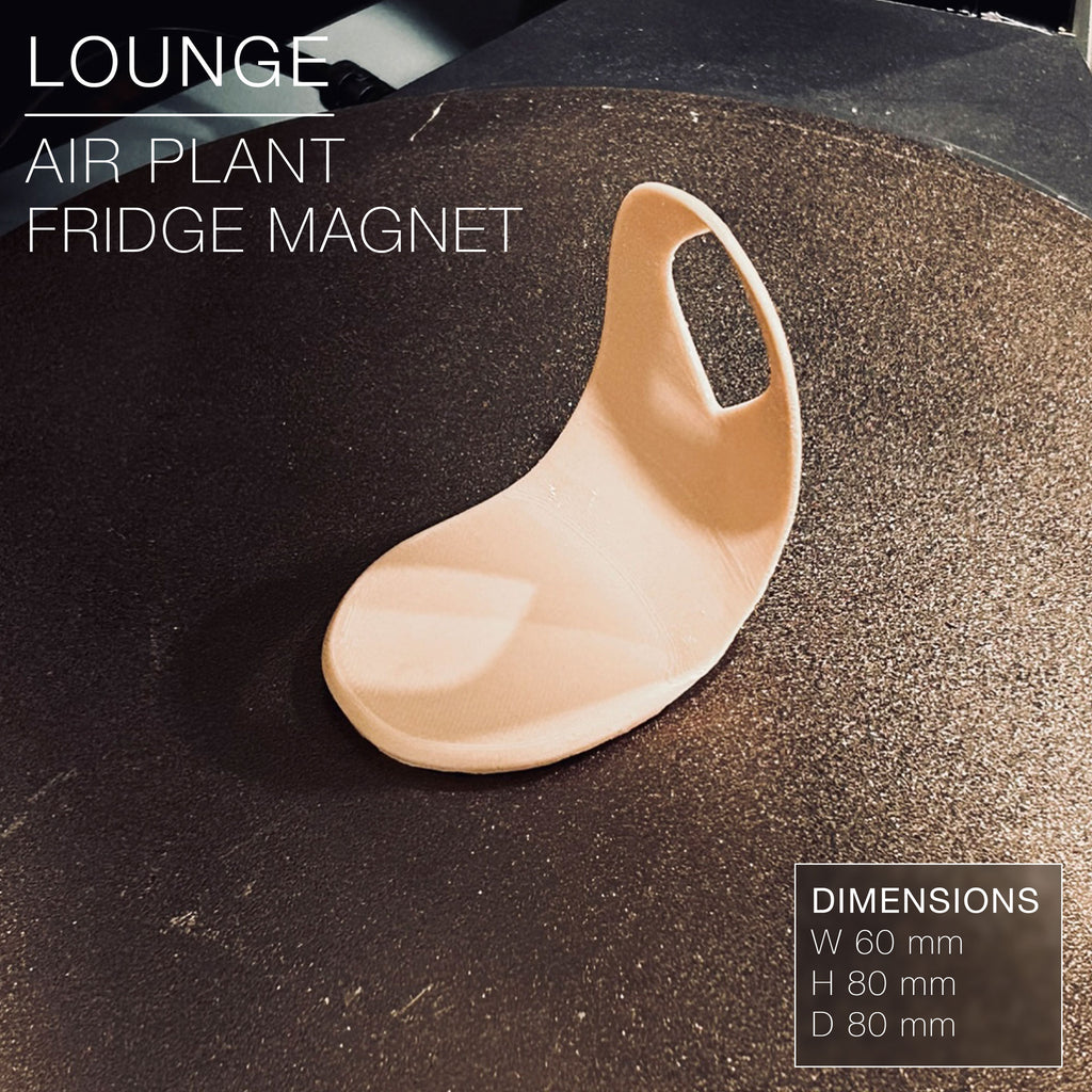 LOUNGE | Air Plant Holder Fridge Magnet