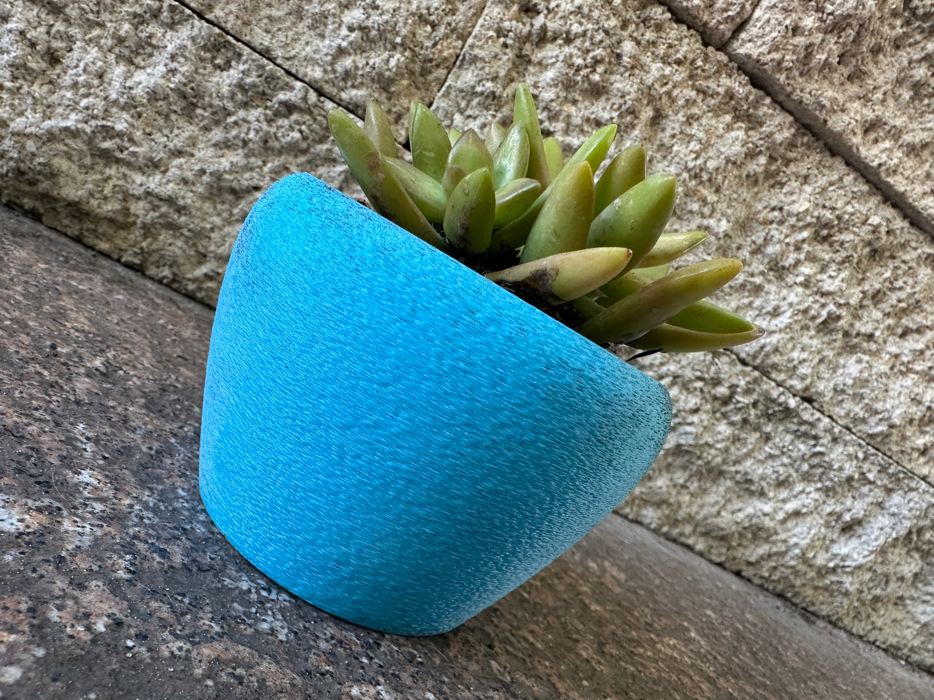 Plant pot / Succulent Container / Planter