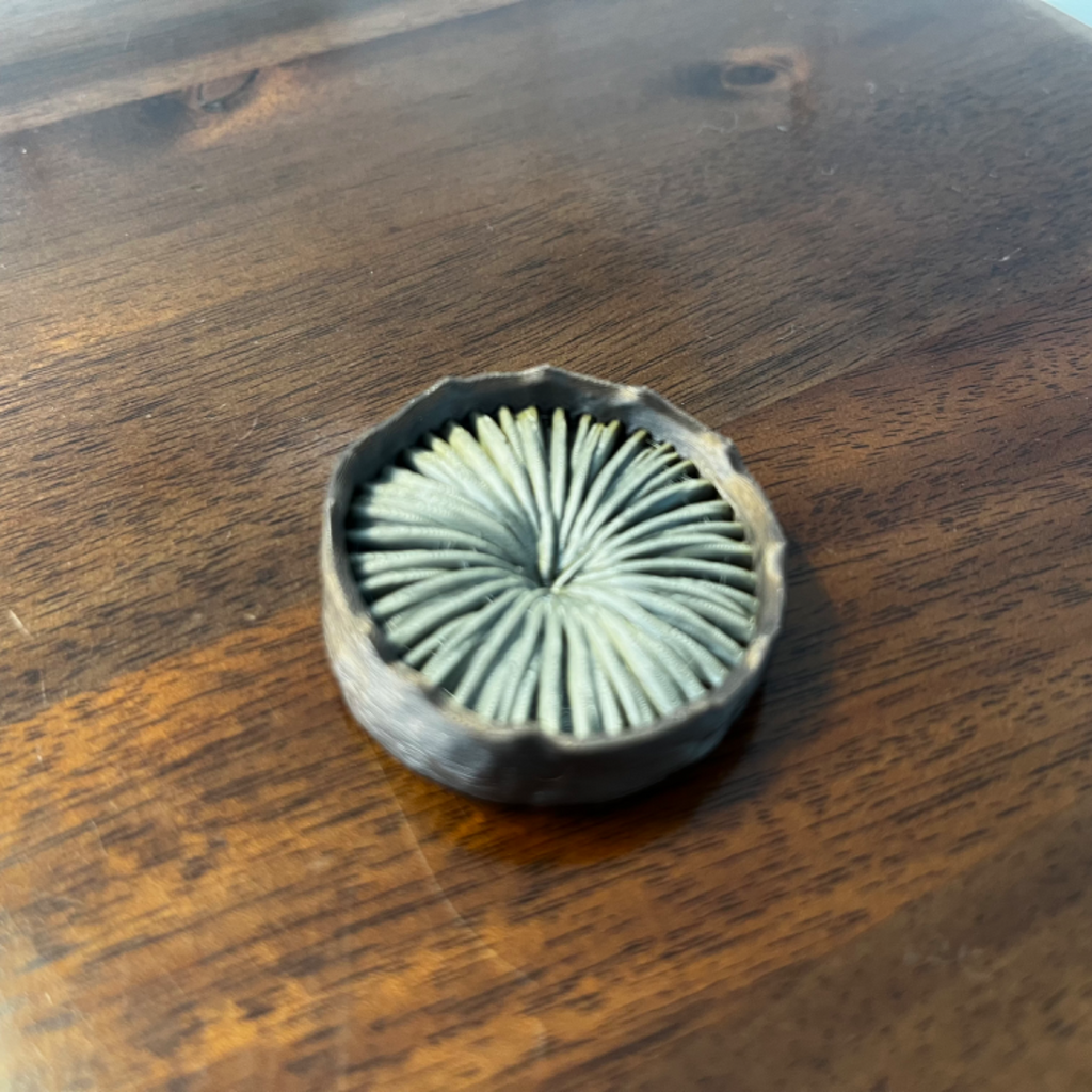 Dune: Imperium Insert w/Expansions, sandworm token