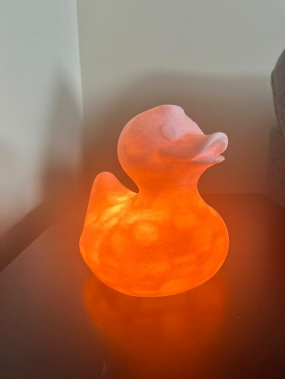 Pink Duck lamp (001 led light)