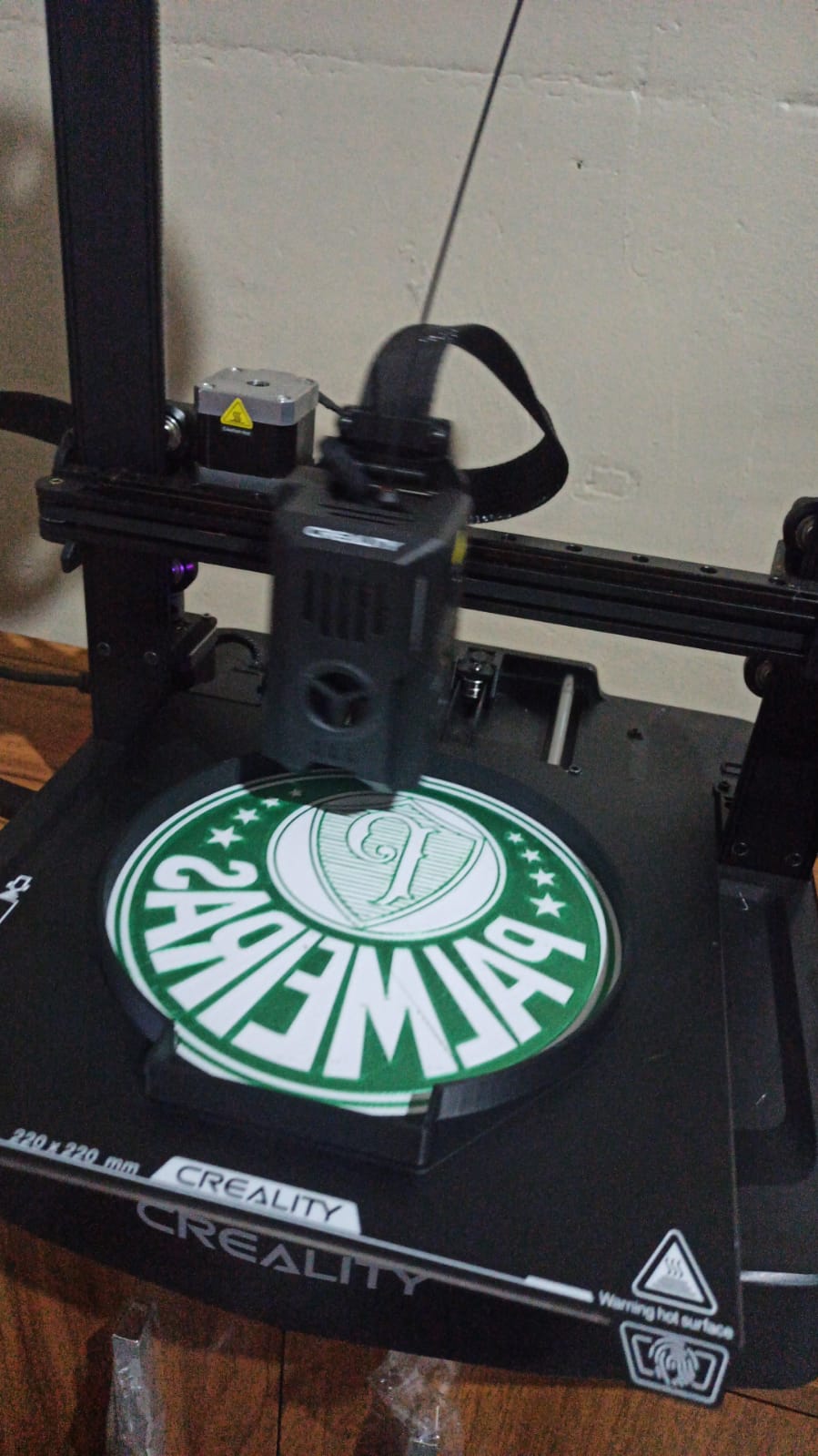 LUMINÁRIA PALMEIRAS