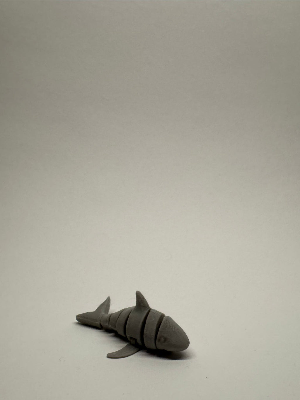 Cute Articulated Shark