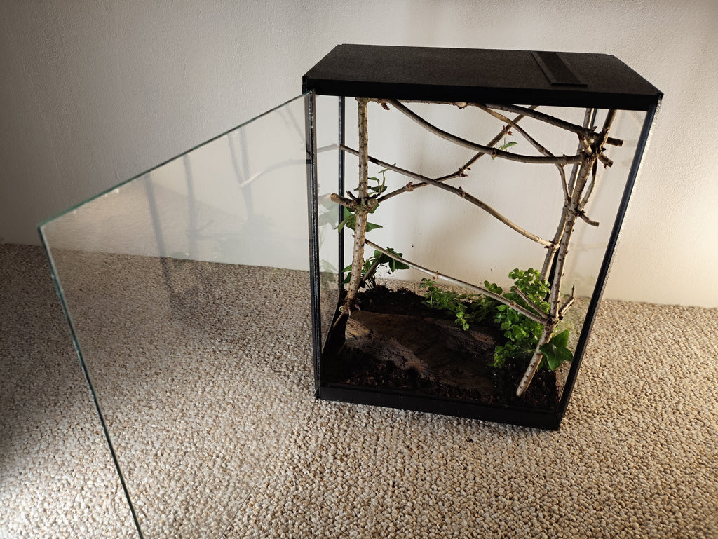 Terarrium 32 × 25 × 15 cm - Insectarium