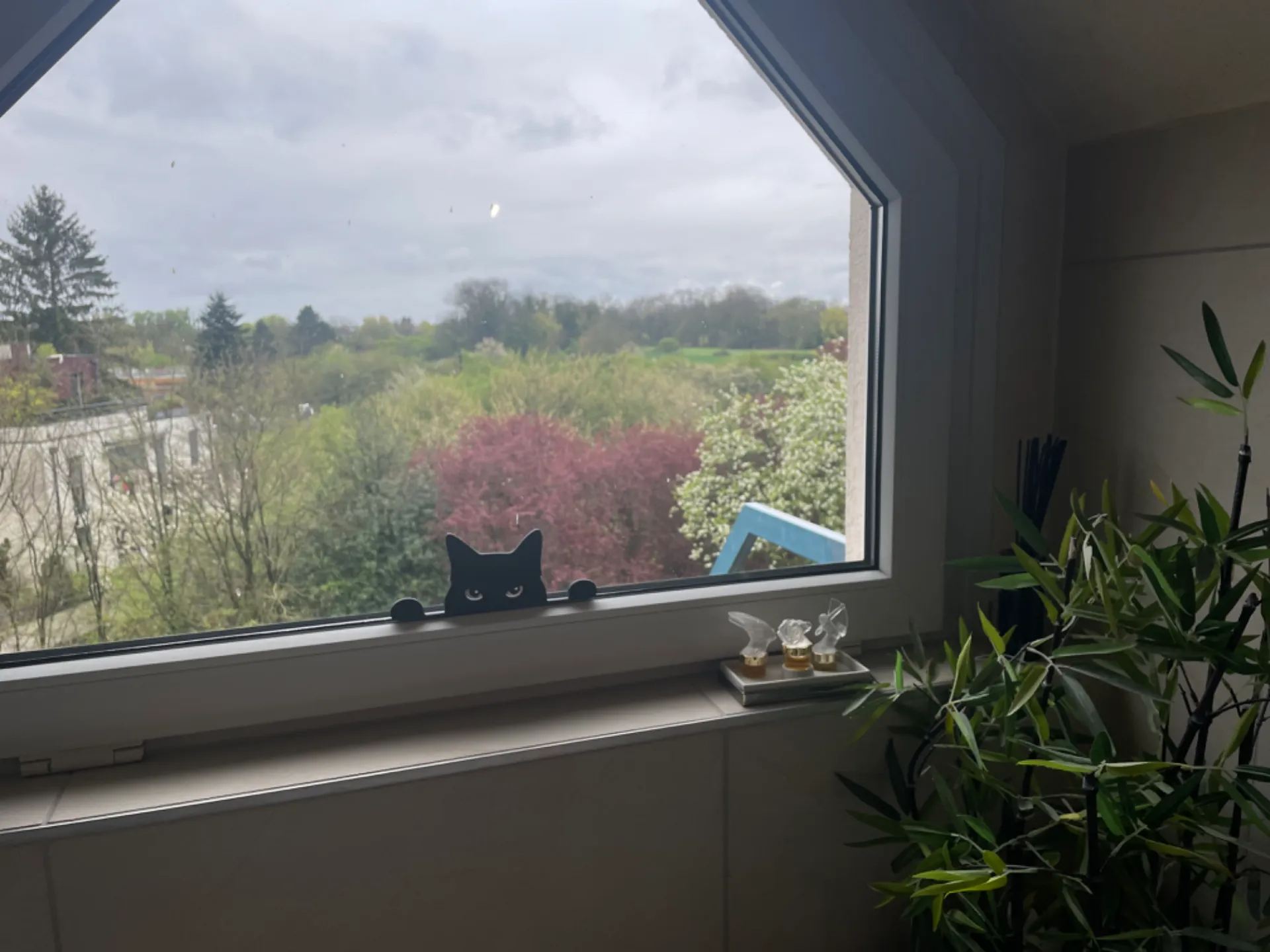 black Cat Silhouette (1 print)
