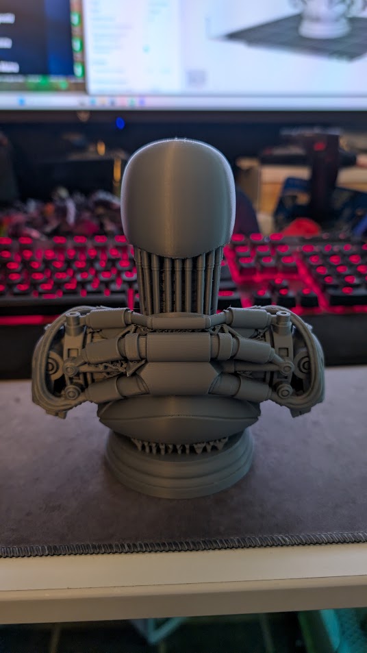 buste terminator v2