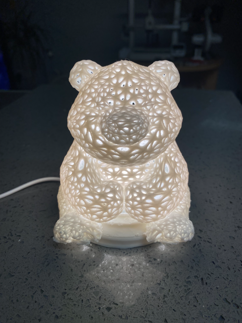 bear LED lamp kit-001