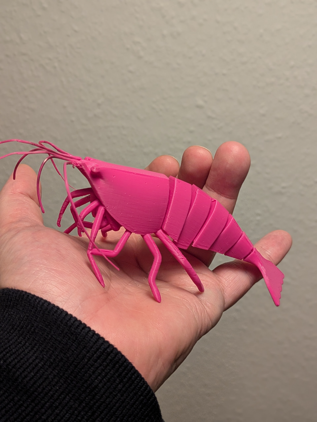 Articulated Shrimp