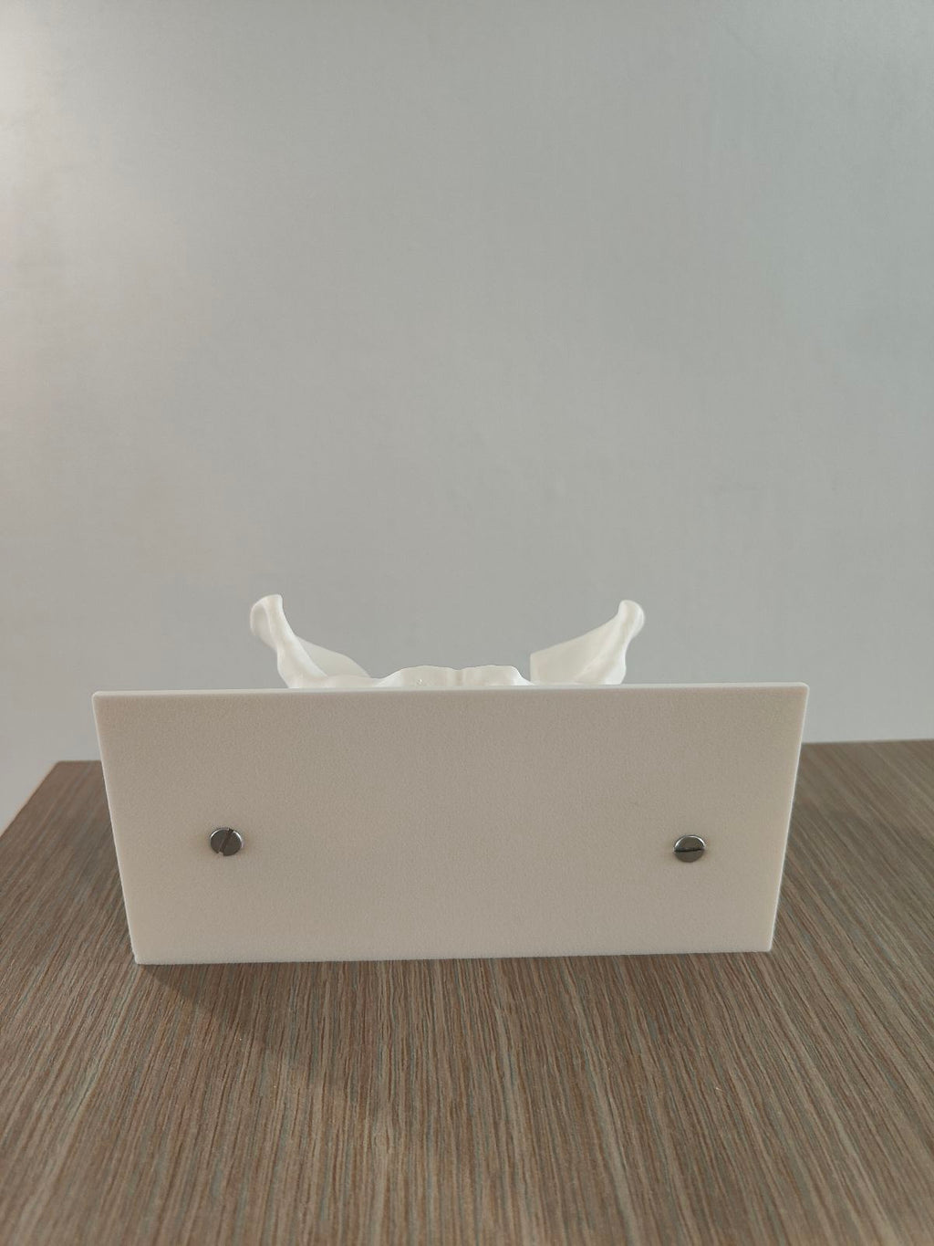 Pelvis Business Card Holder