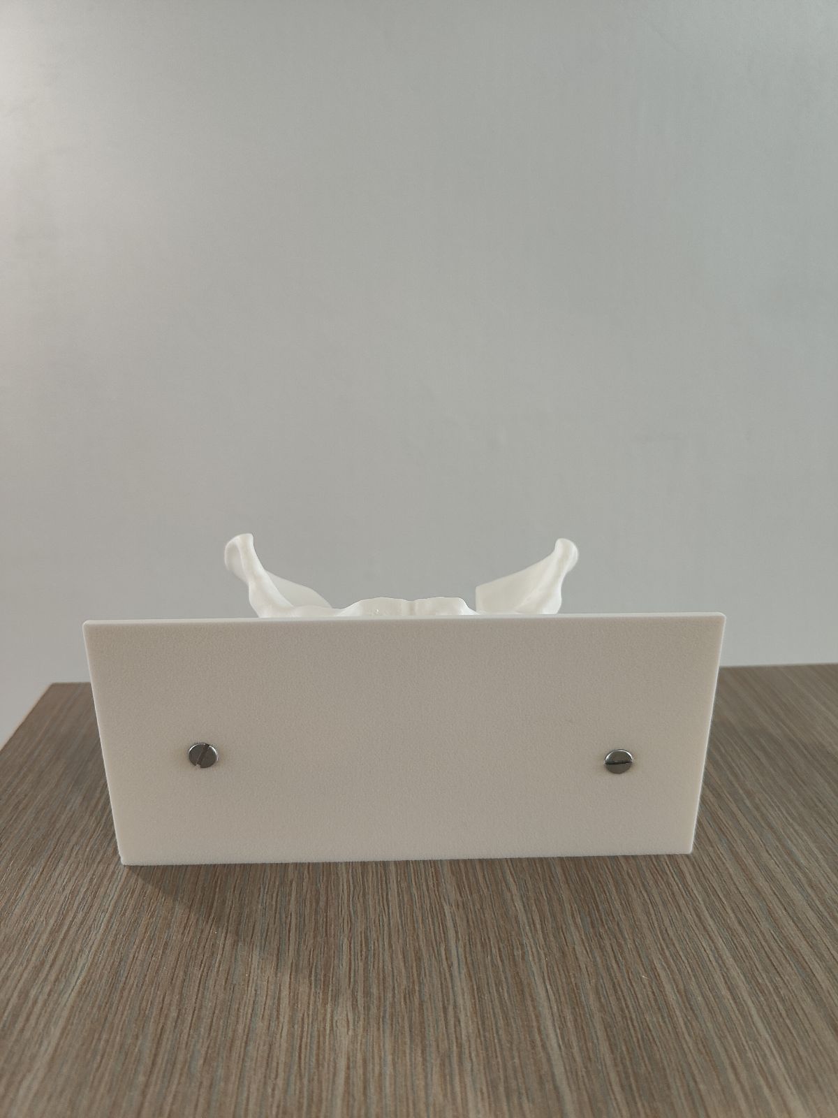 Pelvis Business Card Holder
