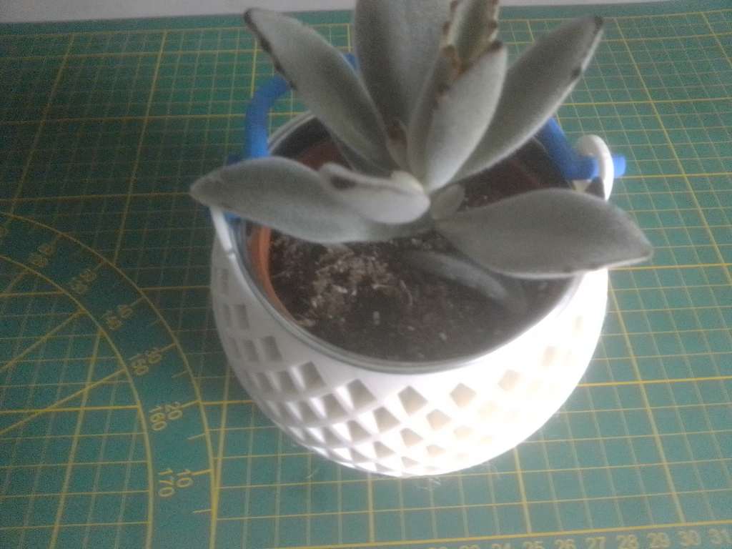 Plant pot with handle
