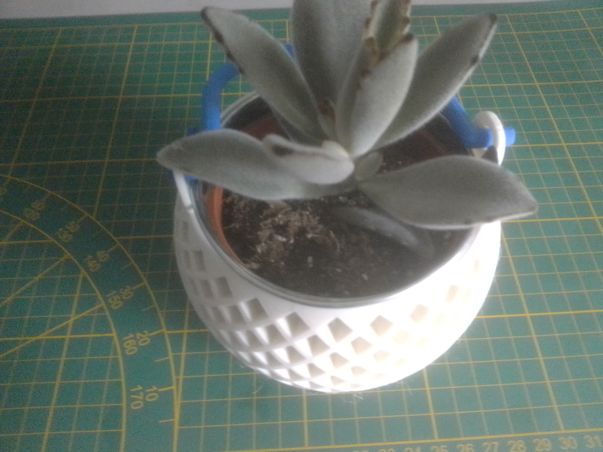 Plant pot with handle