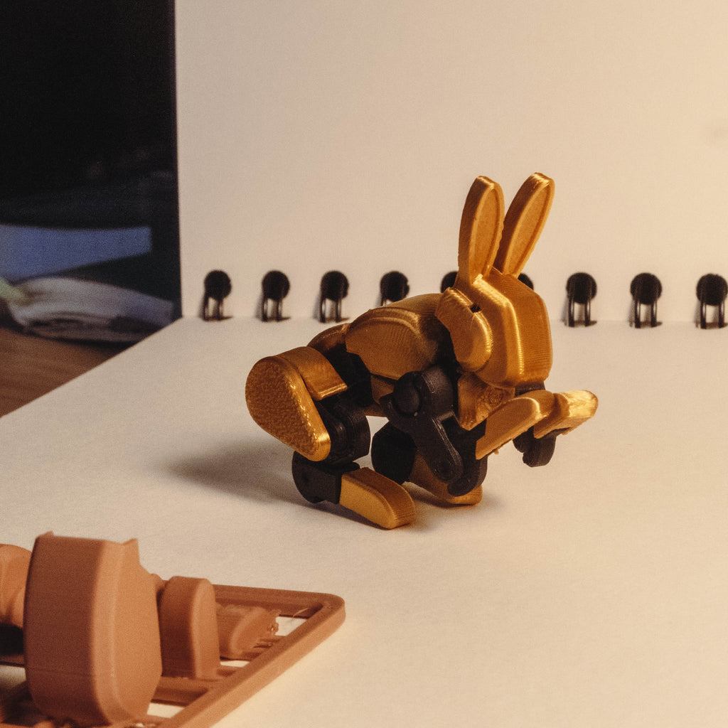 Bunny 13 - Easter Bunny For Dummy 13
