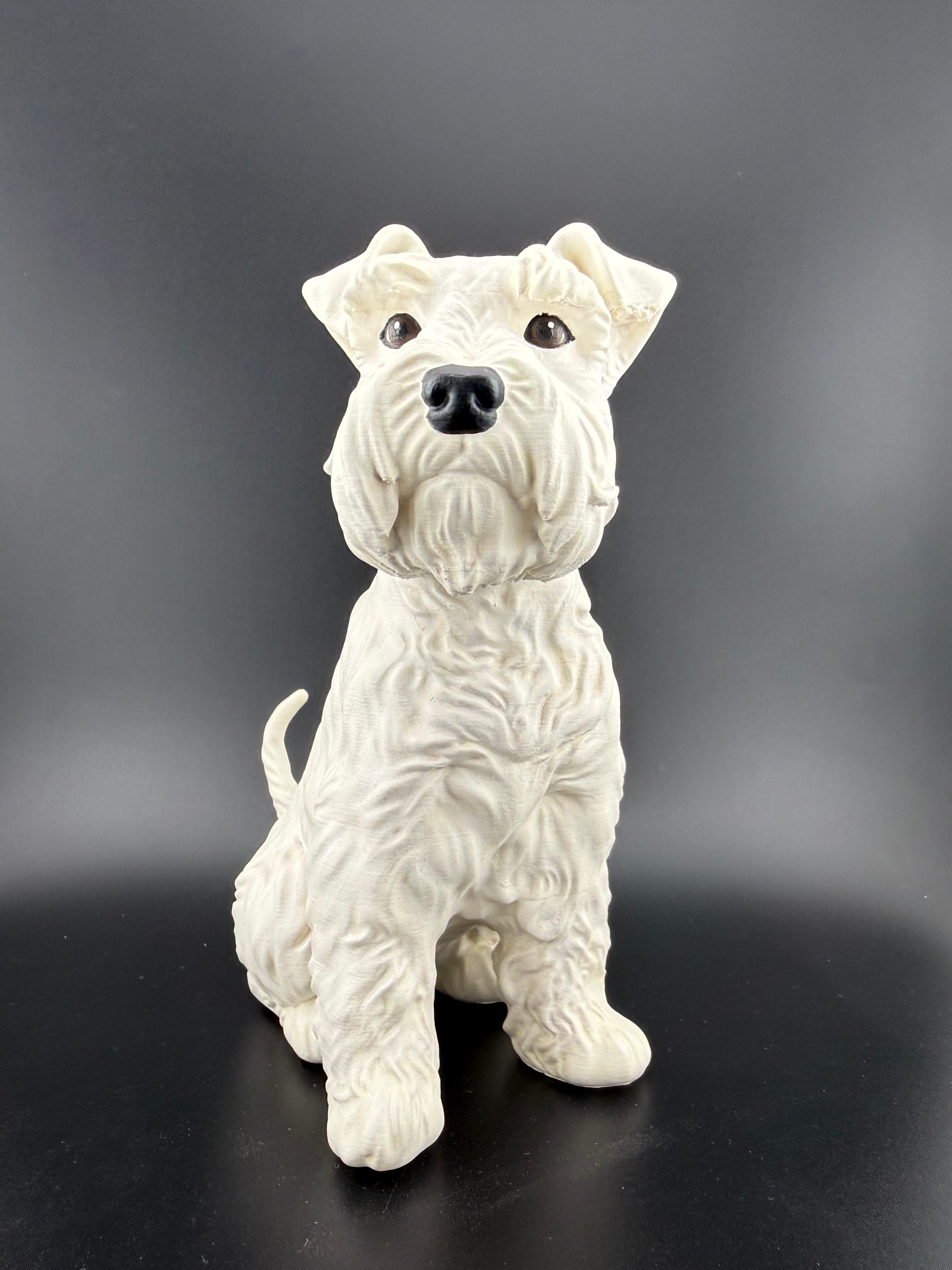 Schnauzer (mini) 12cm