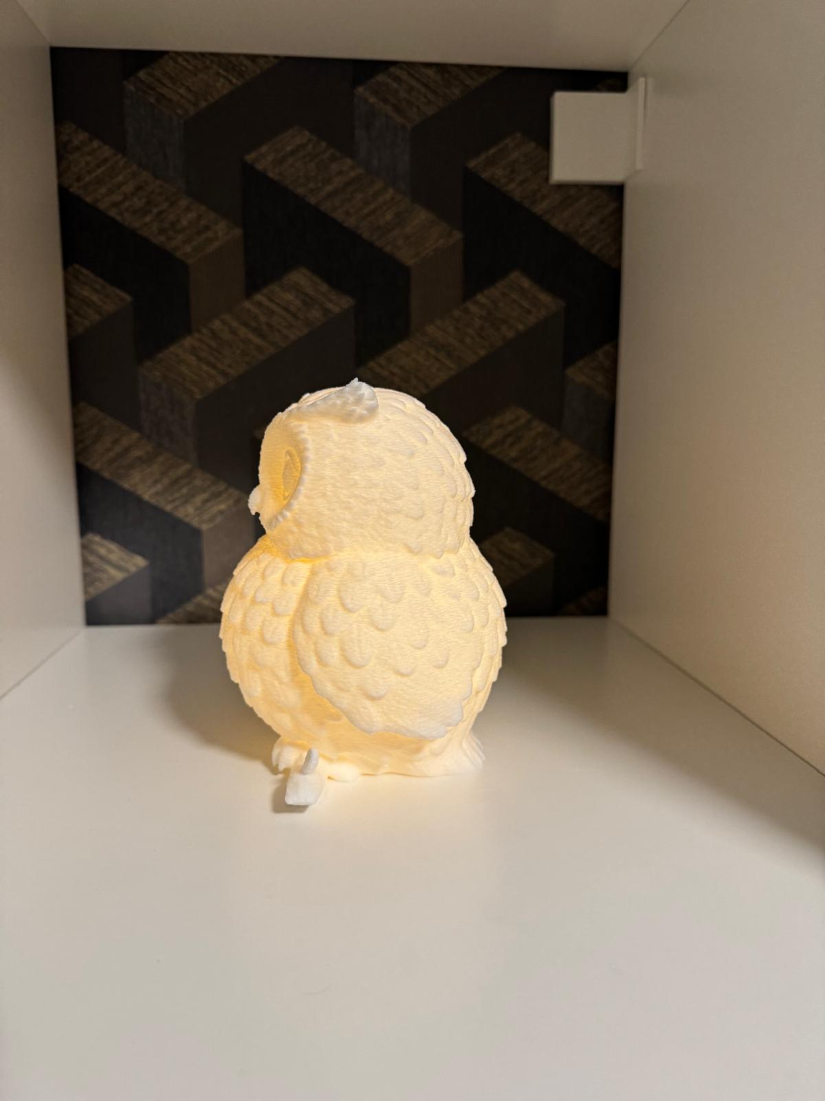 Owl LED