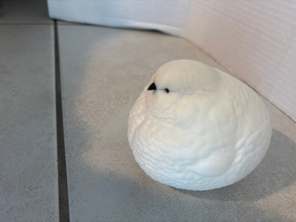 FAT Bird