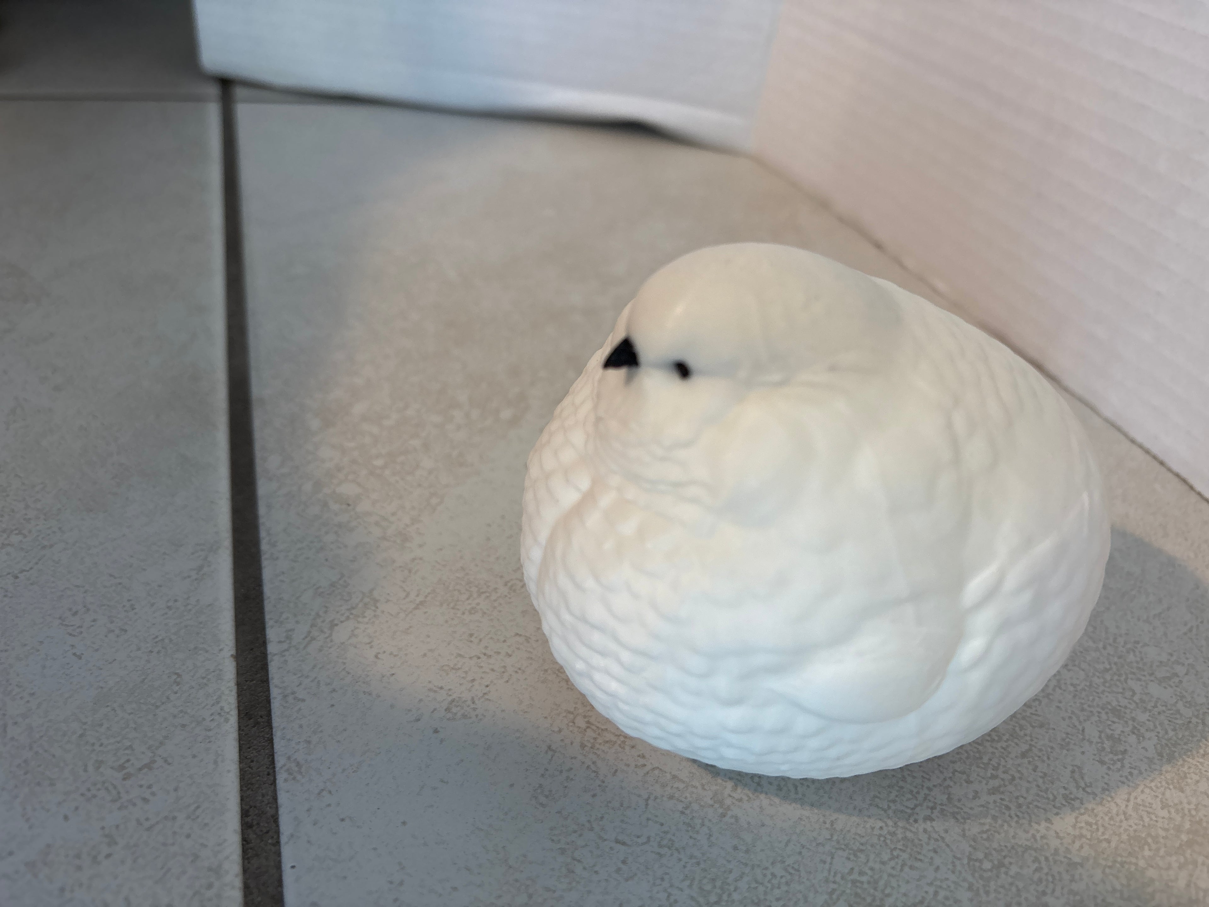 FAT Bird