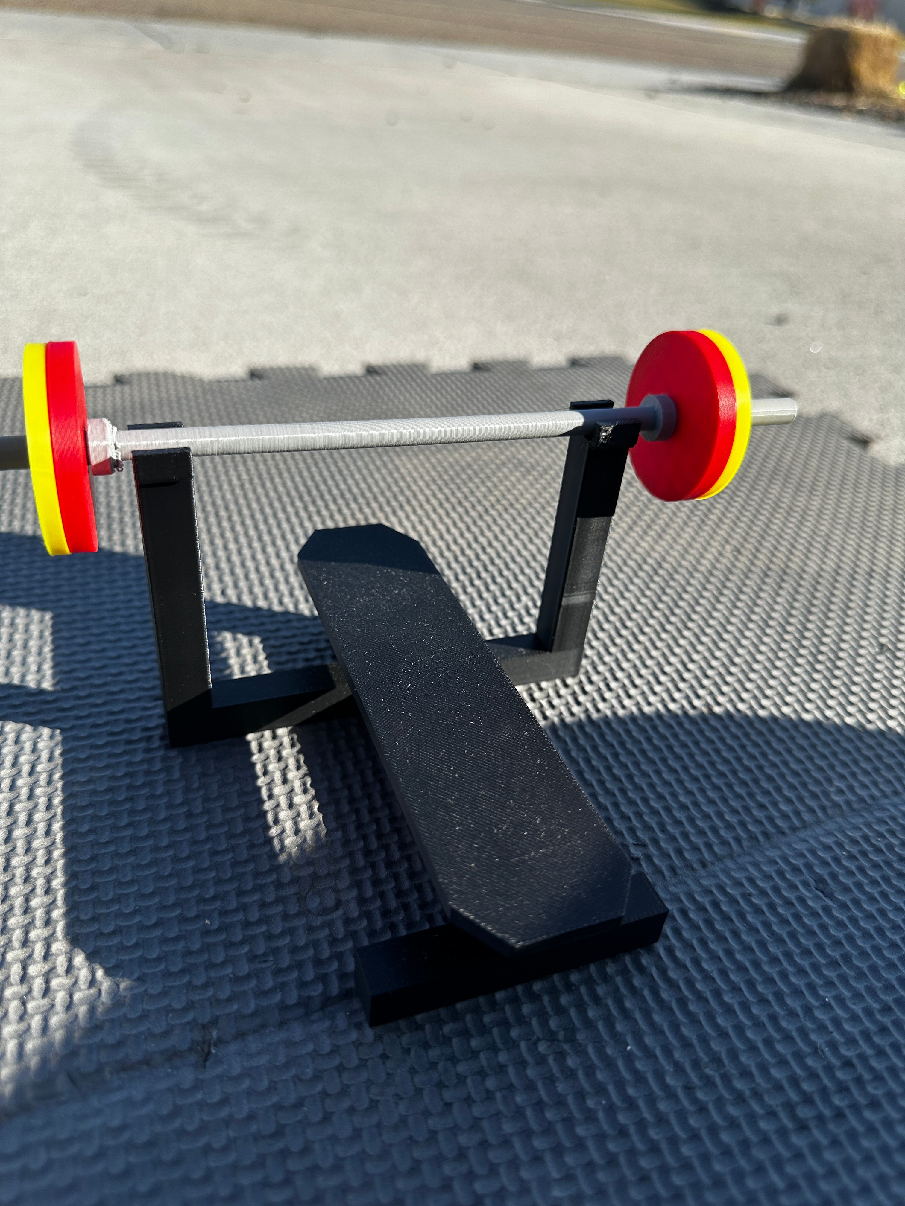Mini Gym - Show PR's