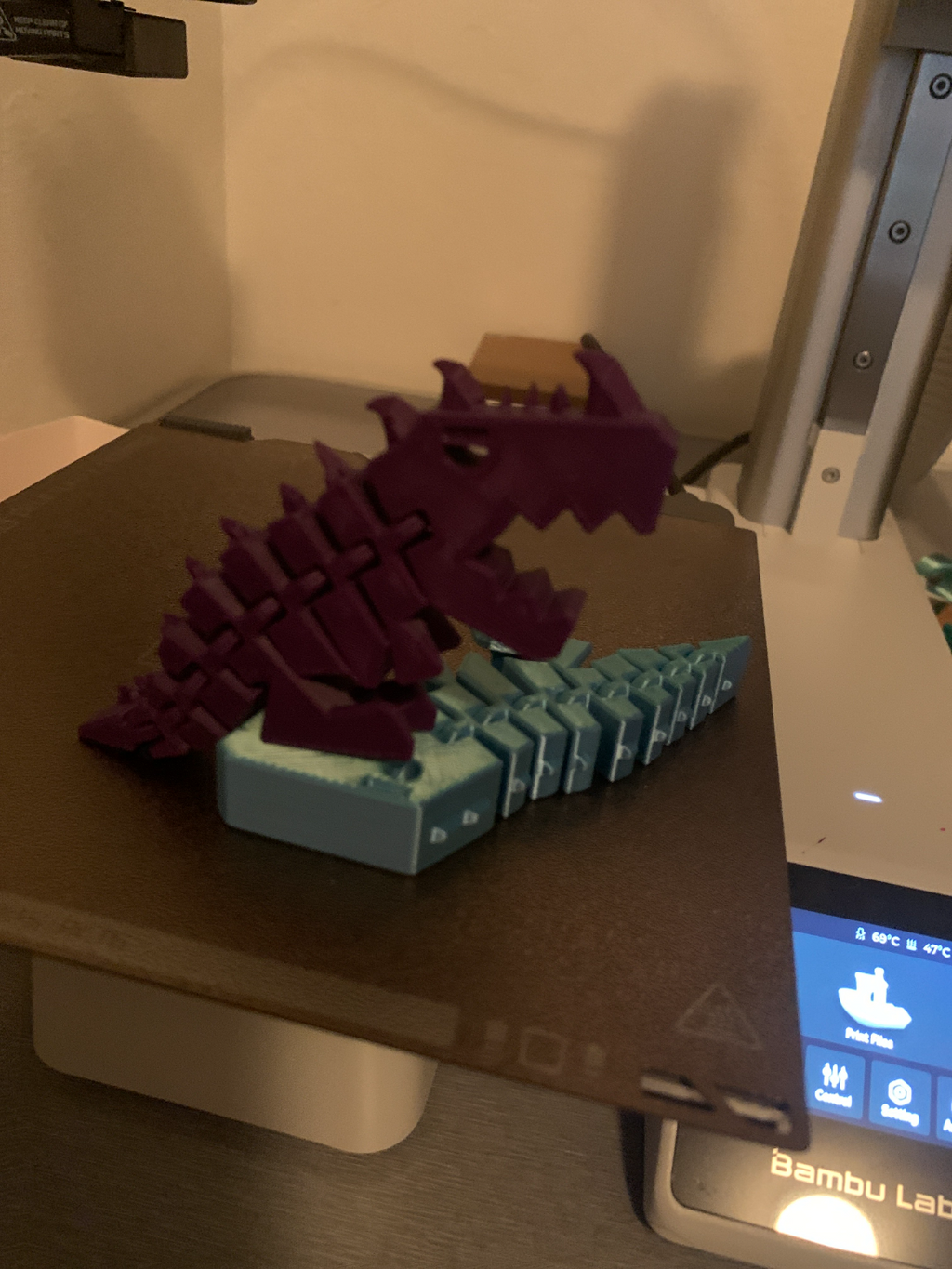 Crystal Flexi Rex